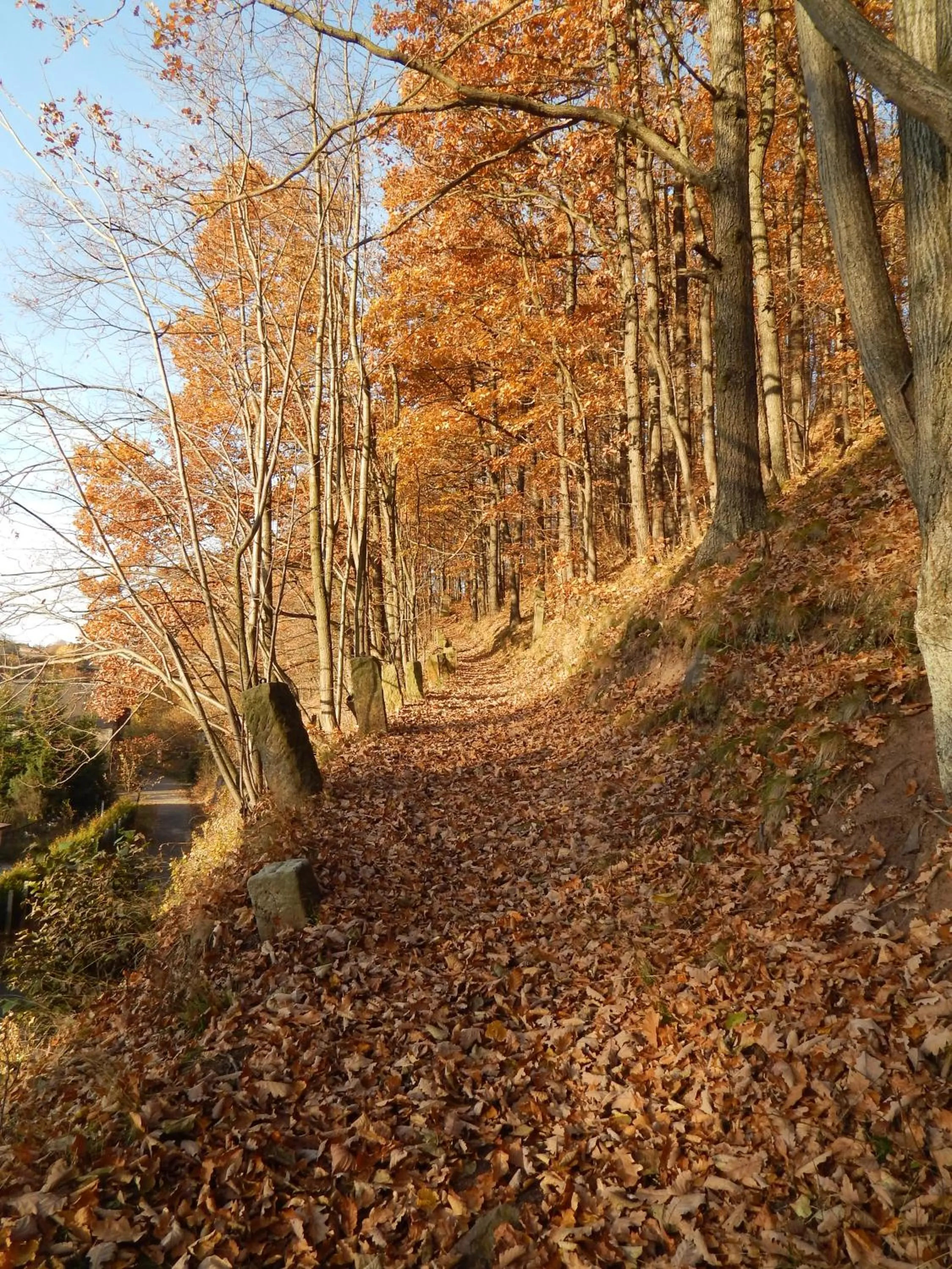 Spring in Dom Gościnny Gerus