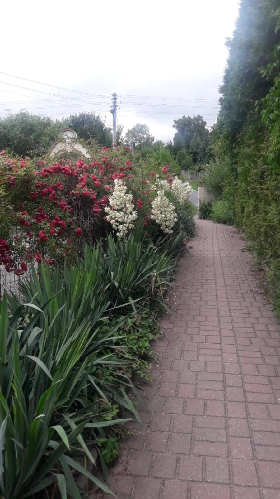 Spring in Dom Gościnny Gerus