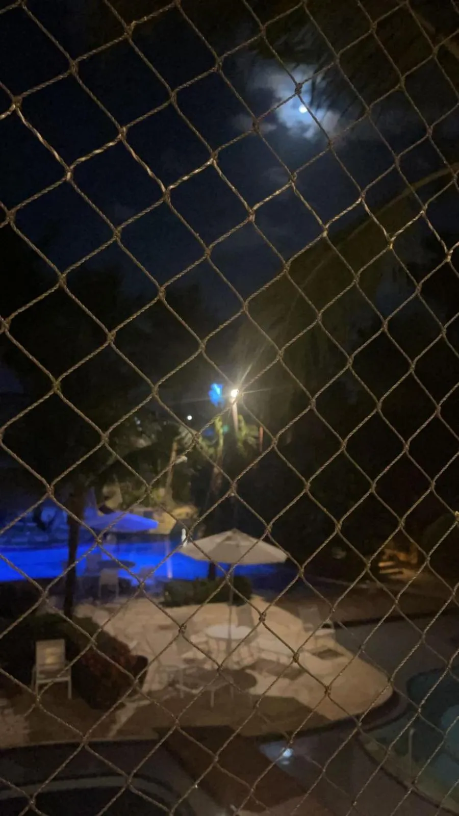 Pool view in Flat NANNAI RESIDENCE