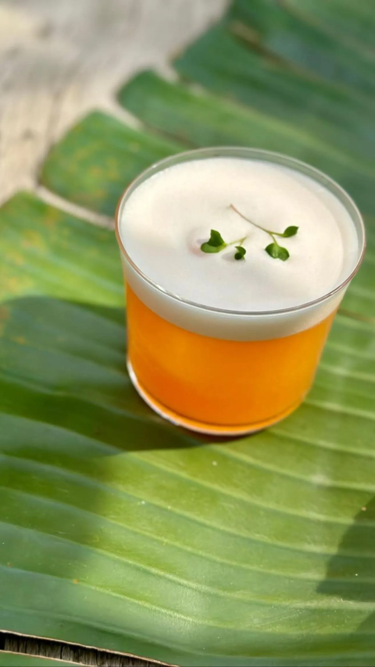 Food and drinks in To Be Social House