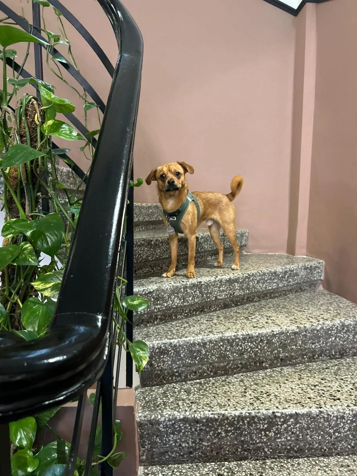 Property building in 72 AD Suites