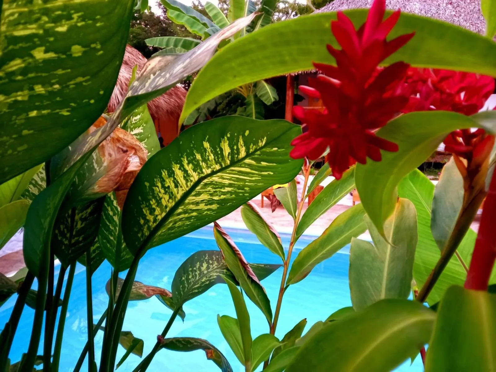 Pool view in Hotel Cabañas Puesta del Sol