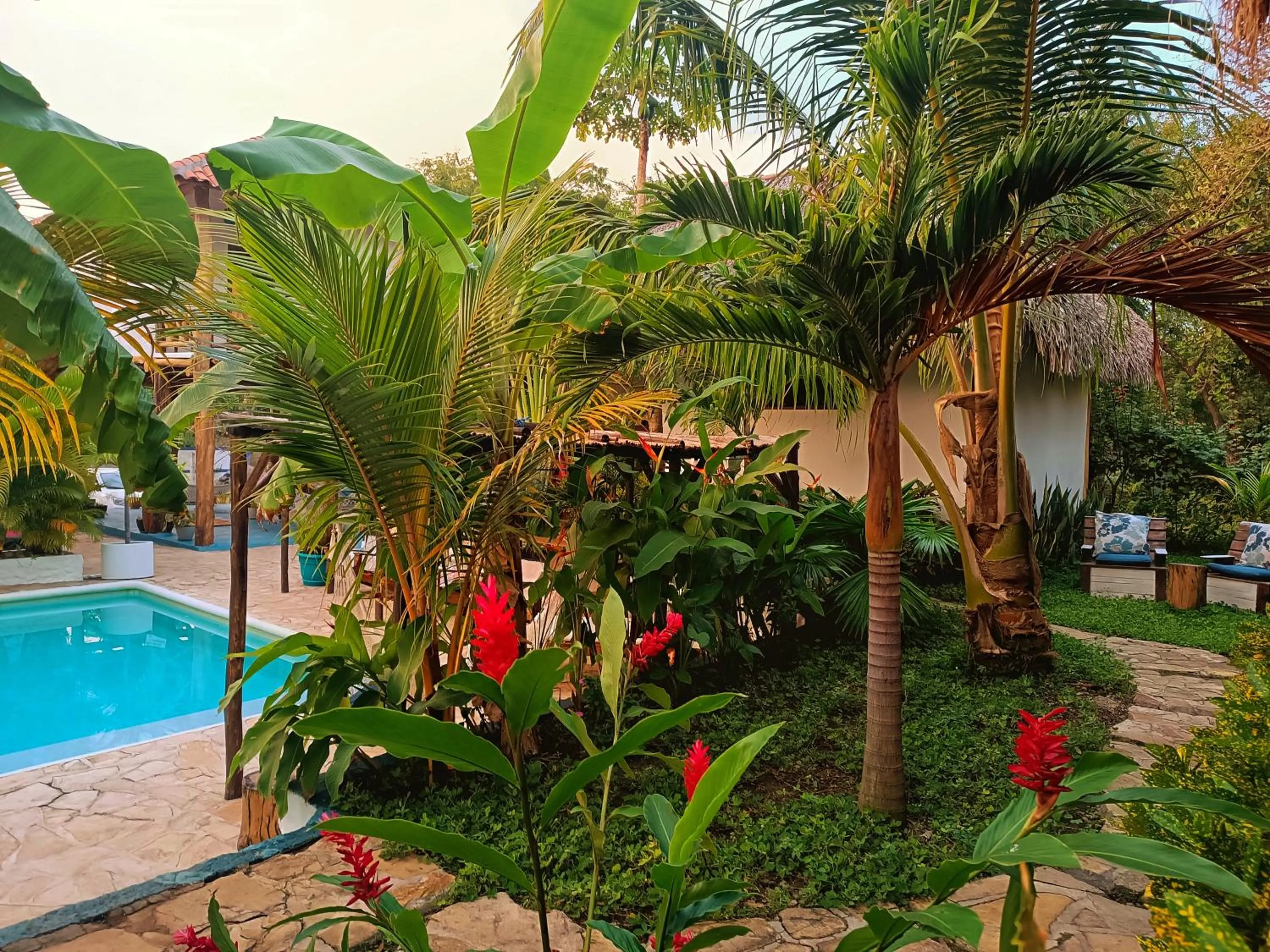 Garden view in Hotel Cabañas Puesta del Sol