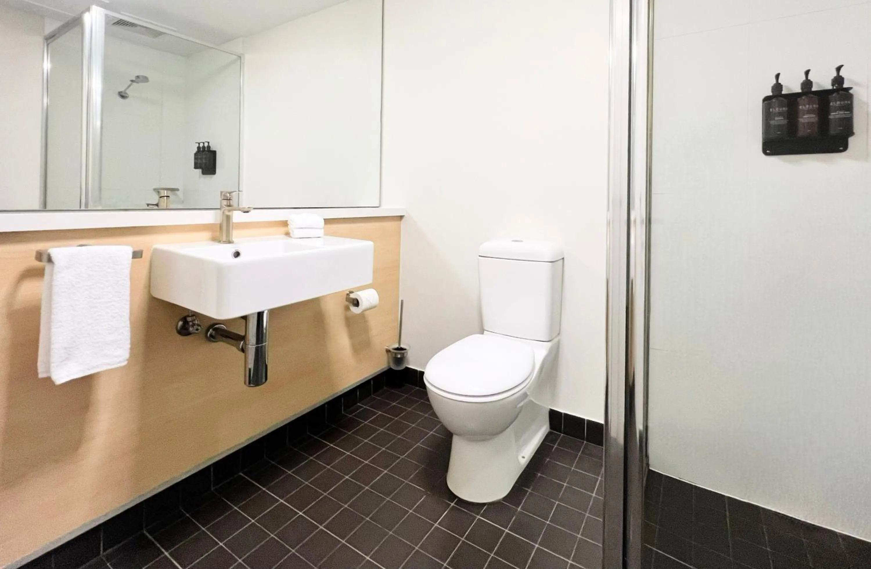 Shower in Mill Hotel Milperra Panania