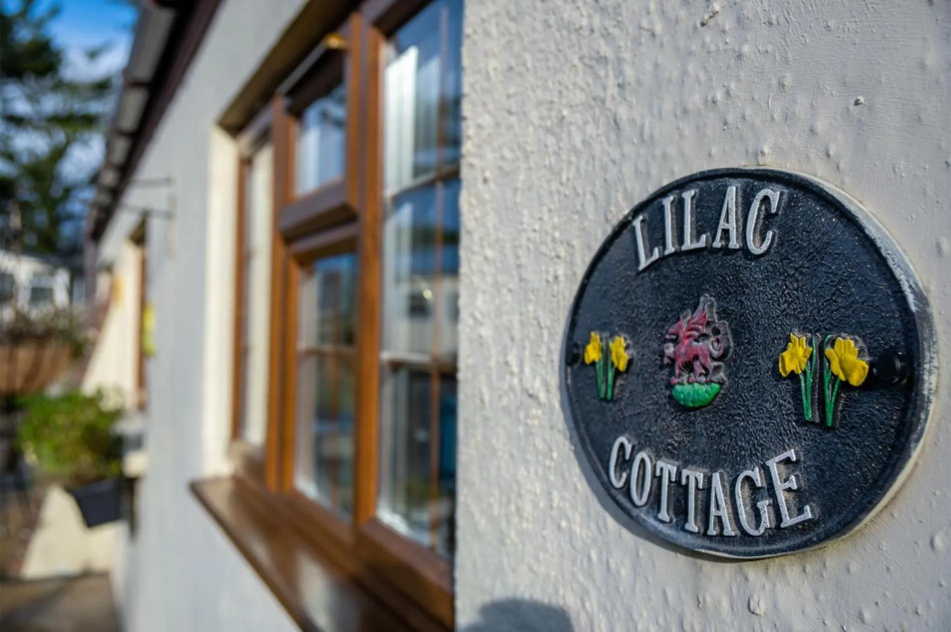 Floor plan in Lilac Cottage - 1 Bedroom Cottage - Amroth