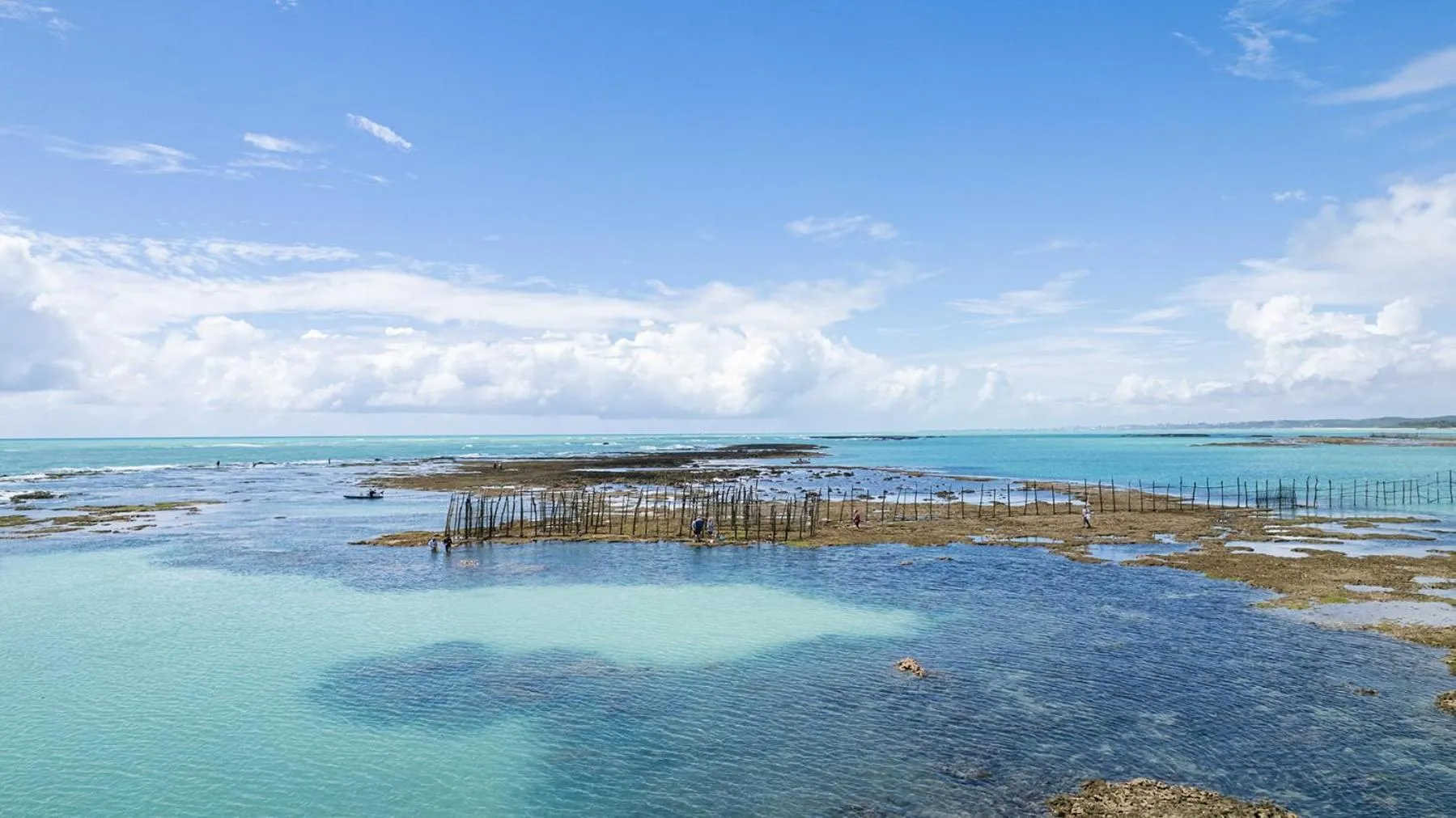 Beach in Ipioca Beach Resort Maceió