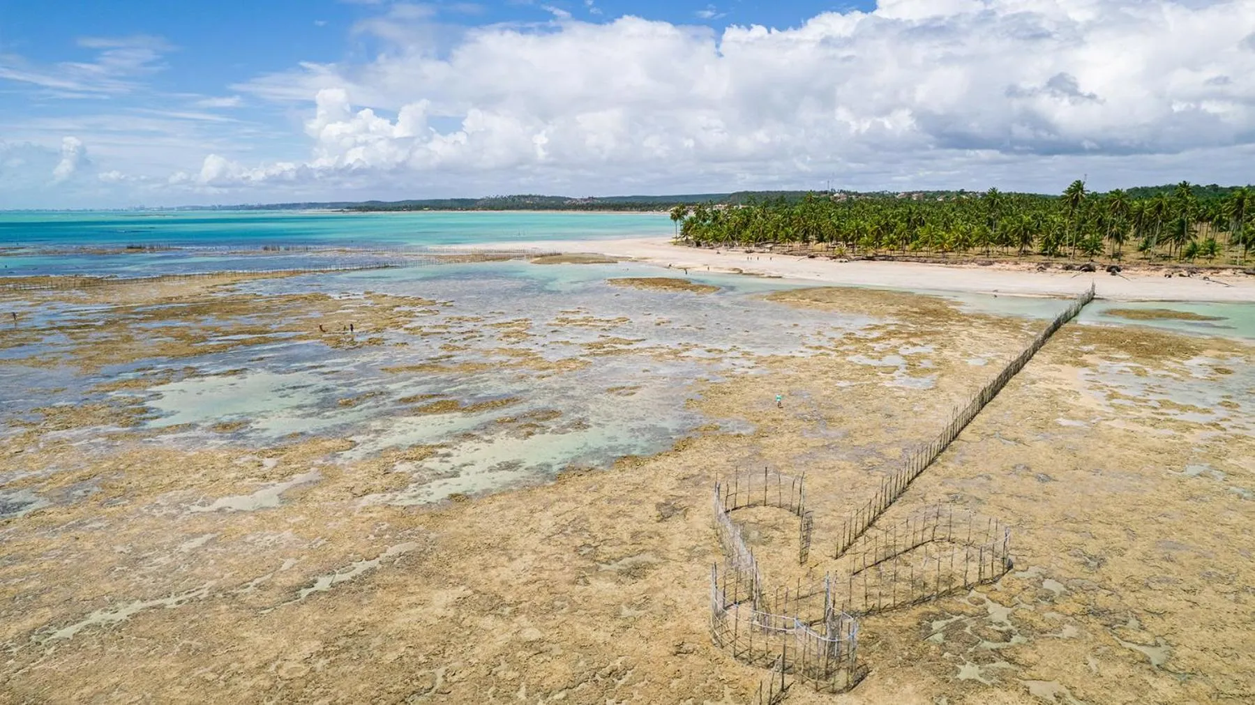 Beach in Ipioca Beach Resort Maceió