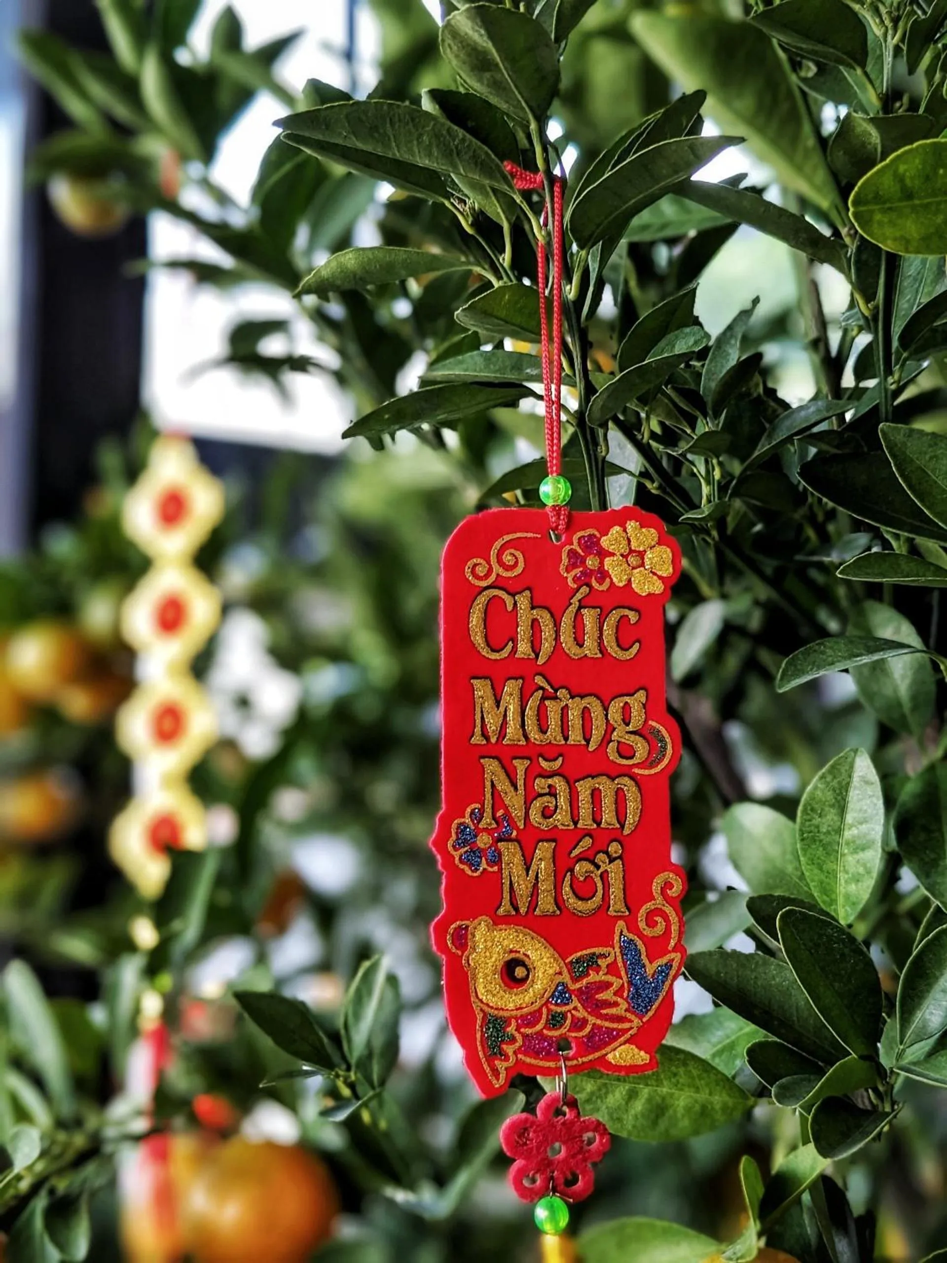 Natural landscape in TDMAISON Hotel & Apartment