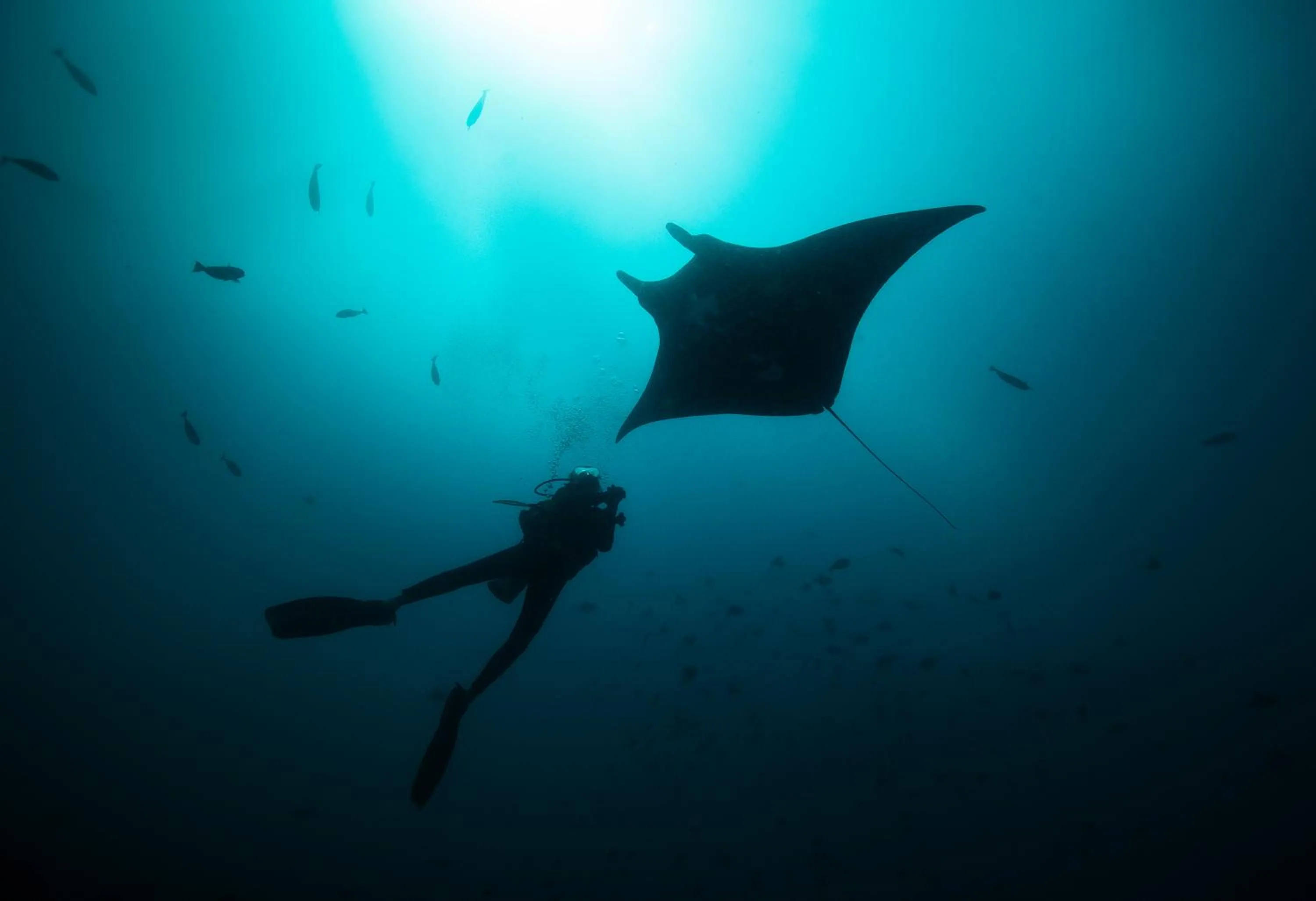 Activities in Tilar Siro Andamans - A CGH Earth Experience