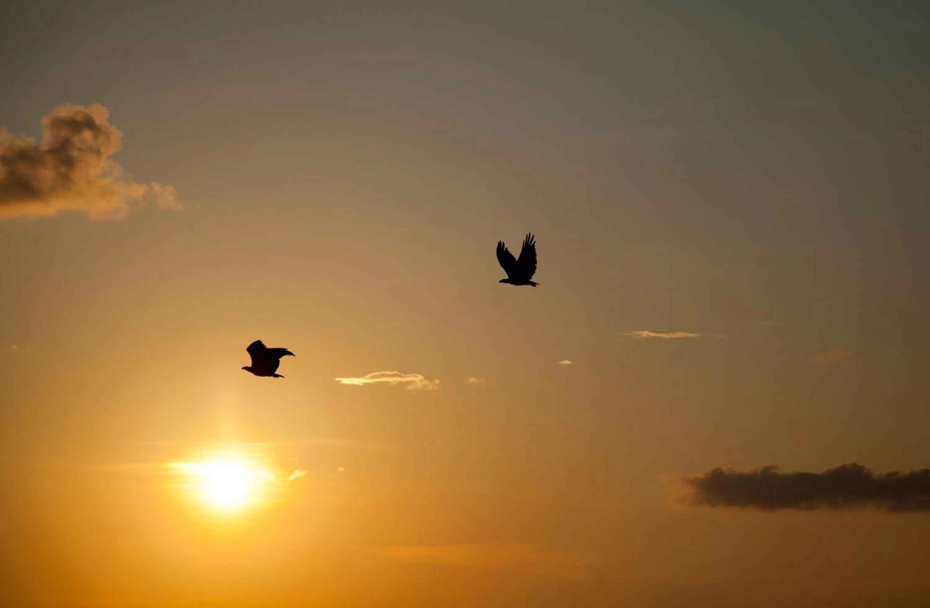 Sunset in Tilar Siro Andamans - A CGH Earth Experience