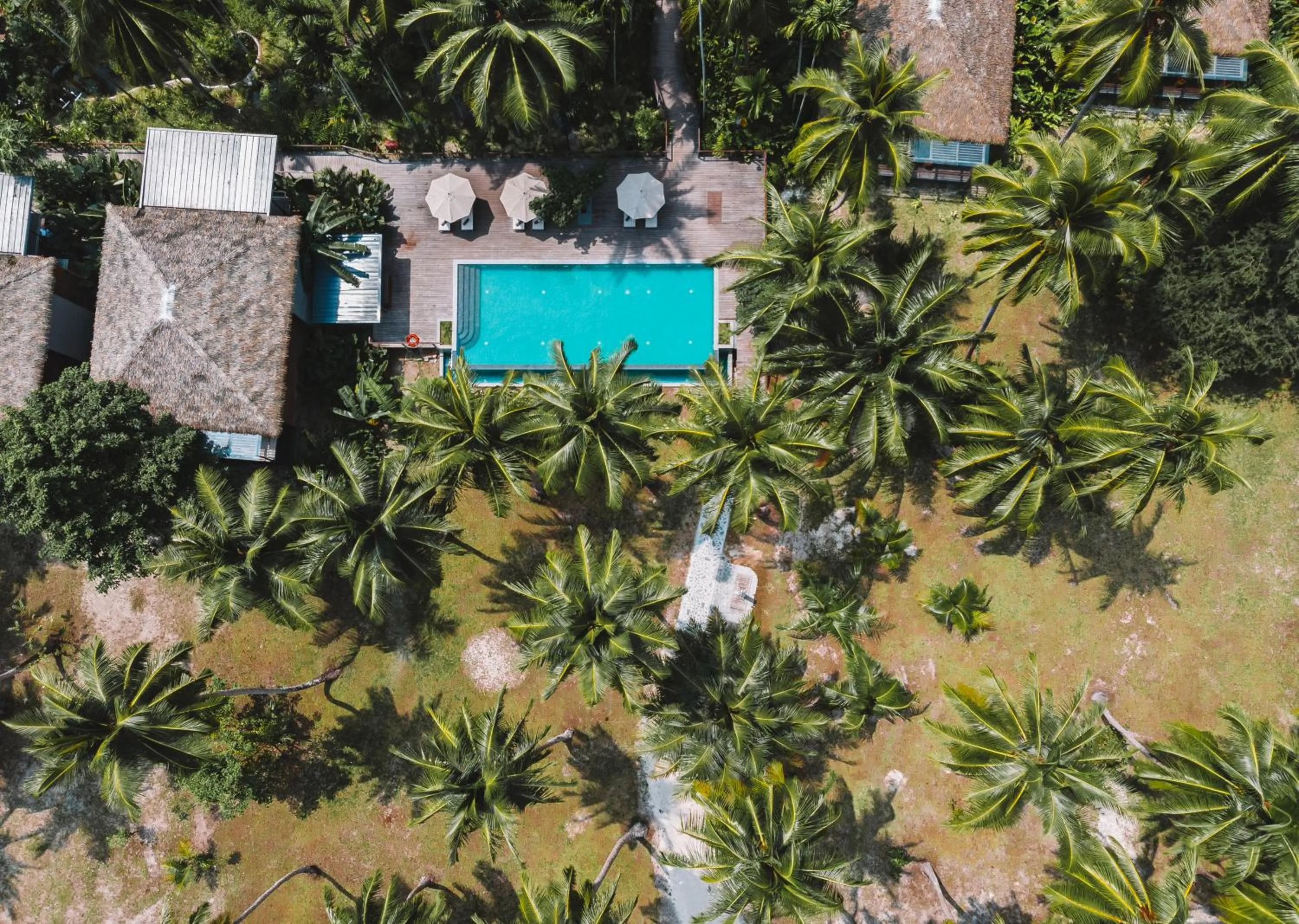 Swimming pool in Tilar Siro Andamans - A CGH Earth Experience