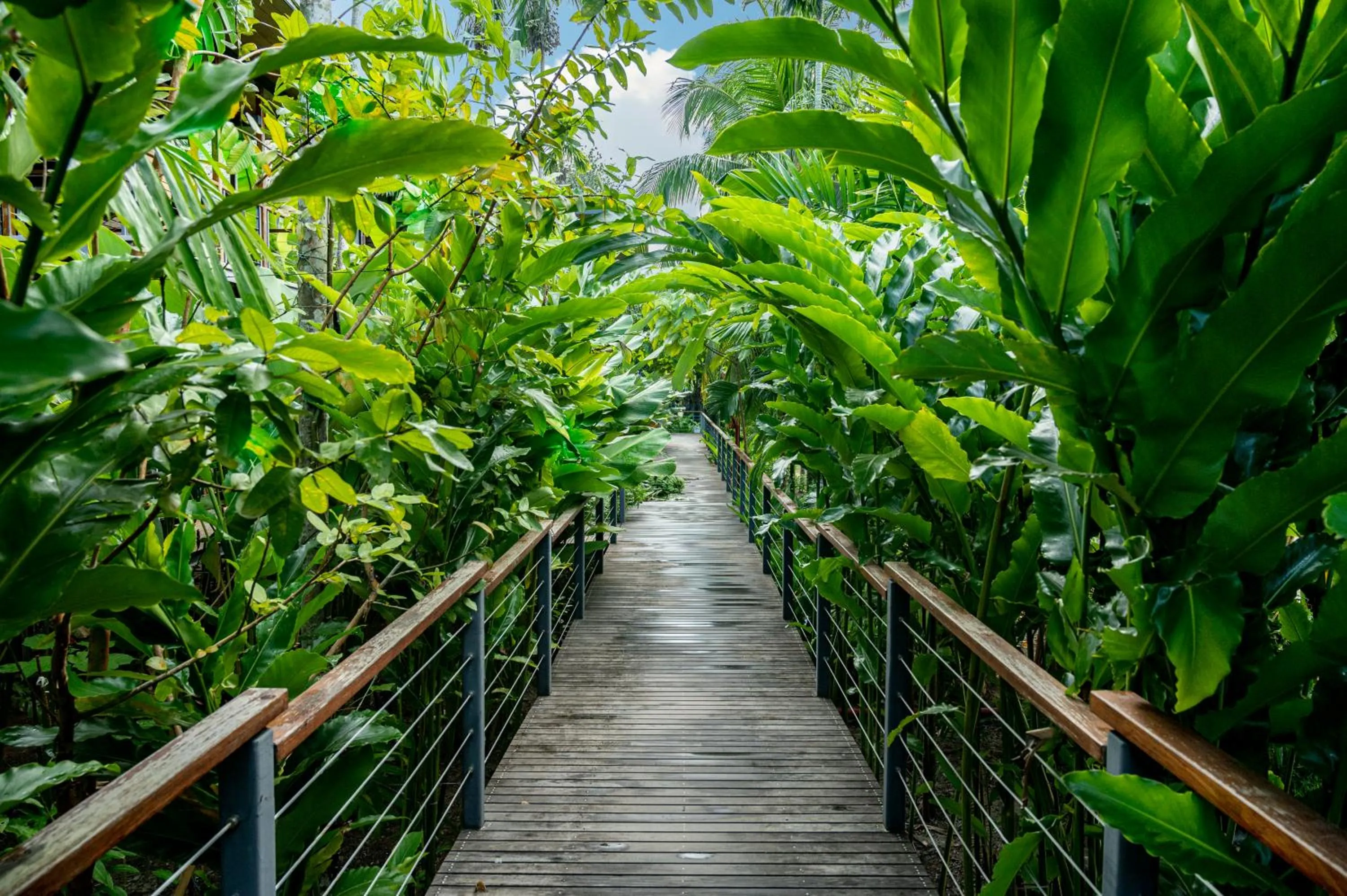 Day in Tilar Siro Andamans - A CGH Earth Experience