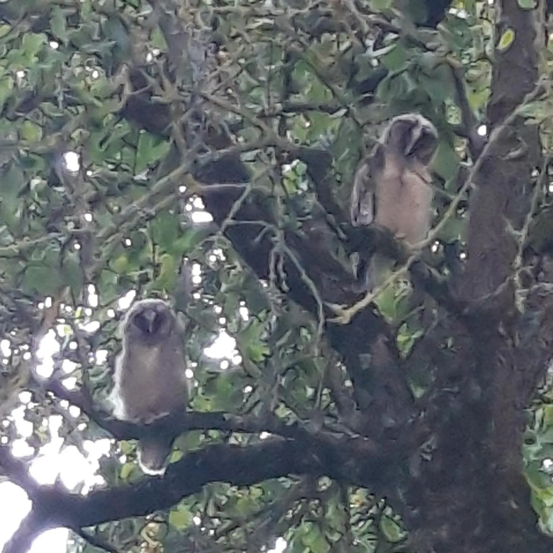 Family Room with Garden View in L'EDEN proche du Zoo de Beauval de Saint Aignan Family Room with Garden View in L'EDEN proche du Zoo de Beauval de Saint Aignan