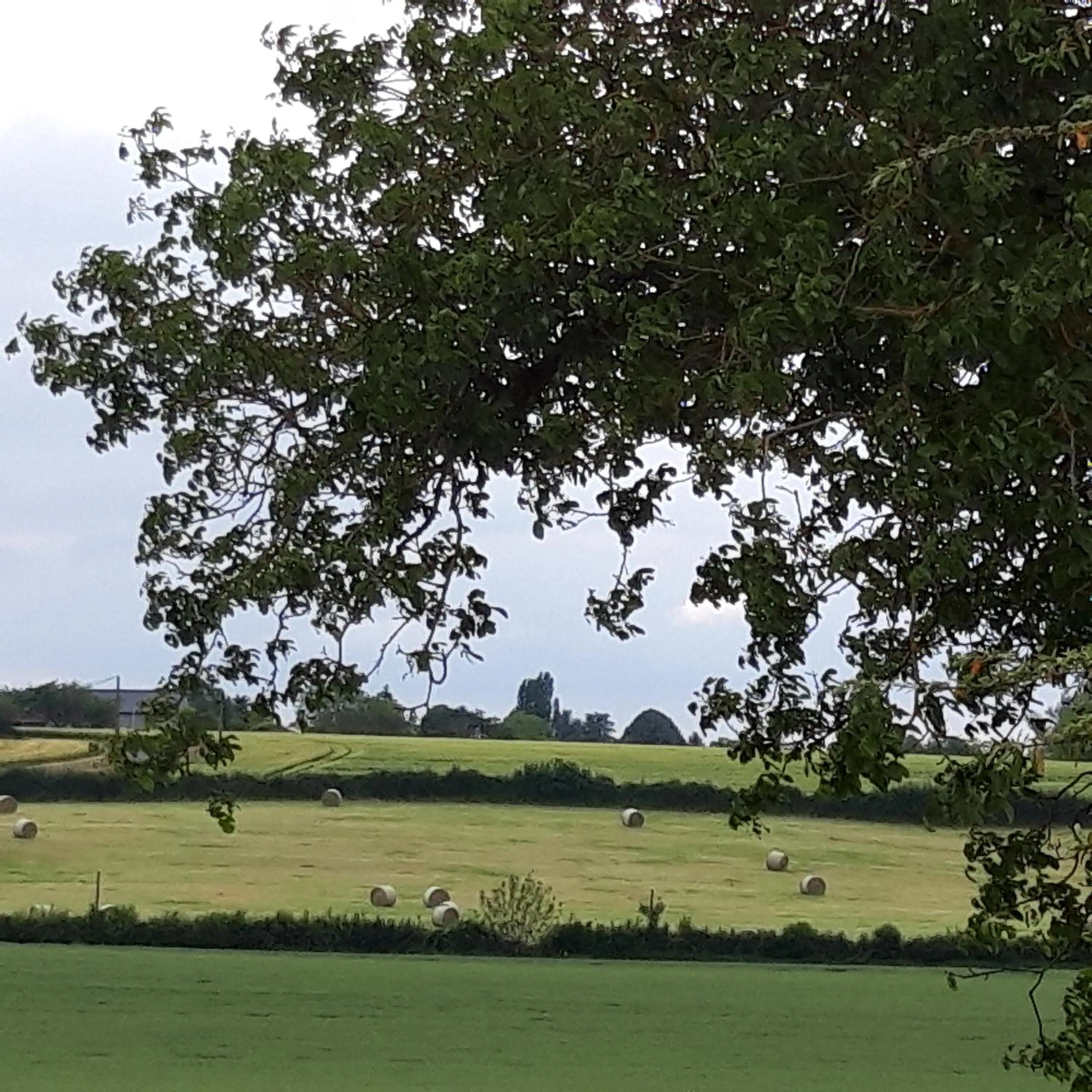 Natural landscape in L'EDEN proche du Zoo de Beauval de Saint Aignan