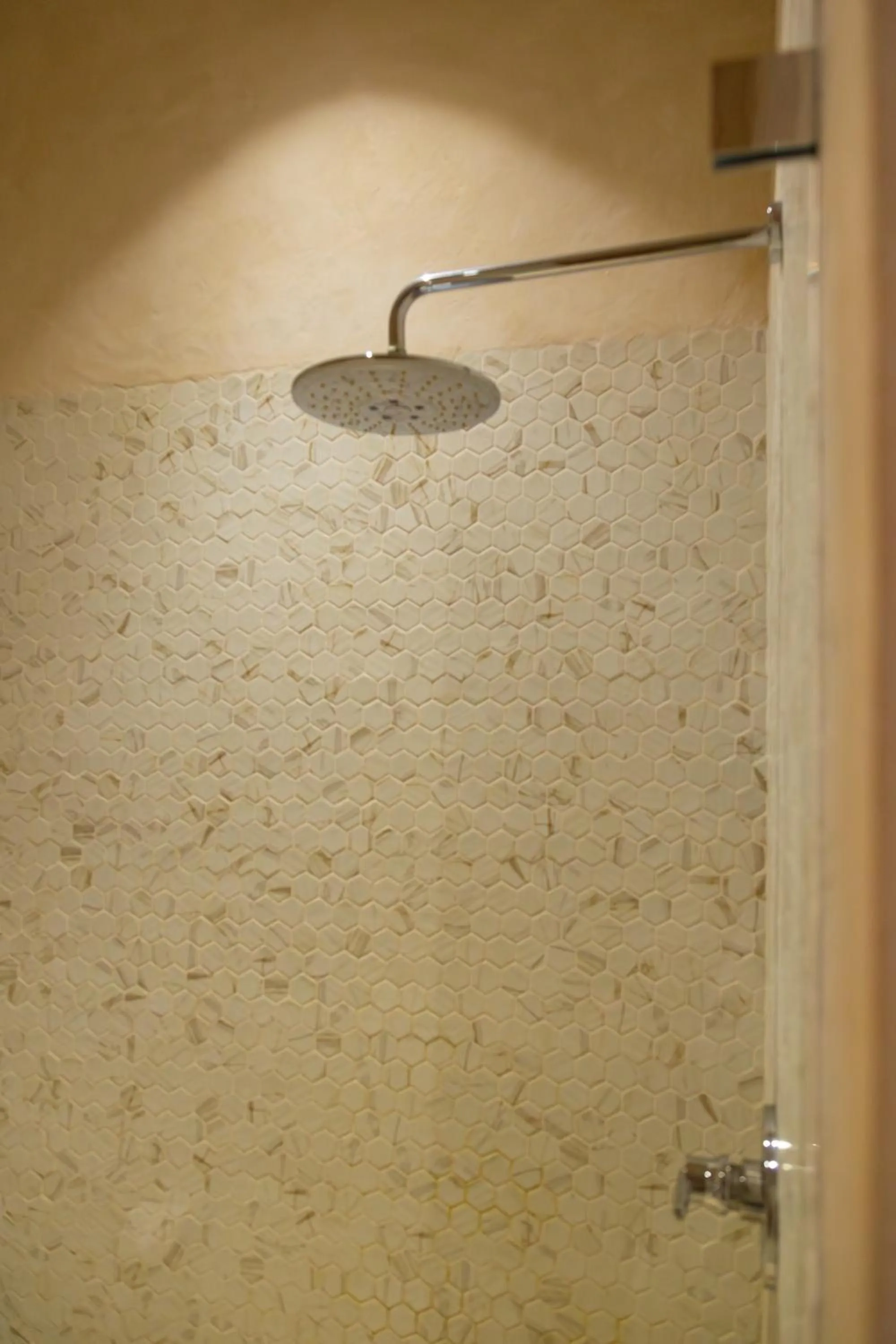 Shower in DECU DOWNTOWN