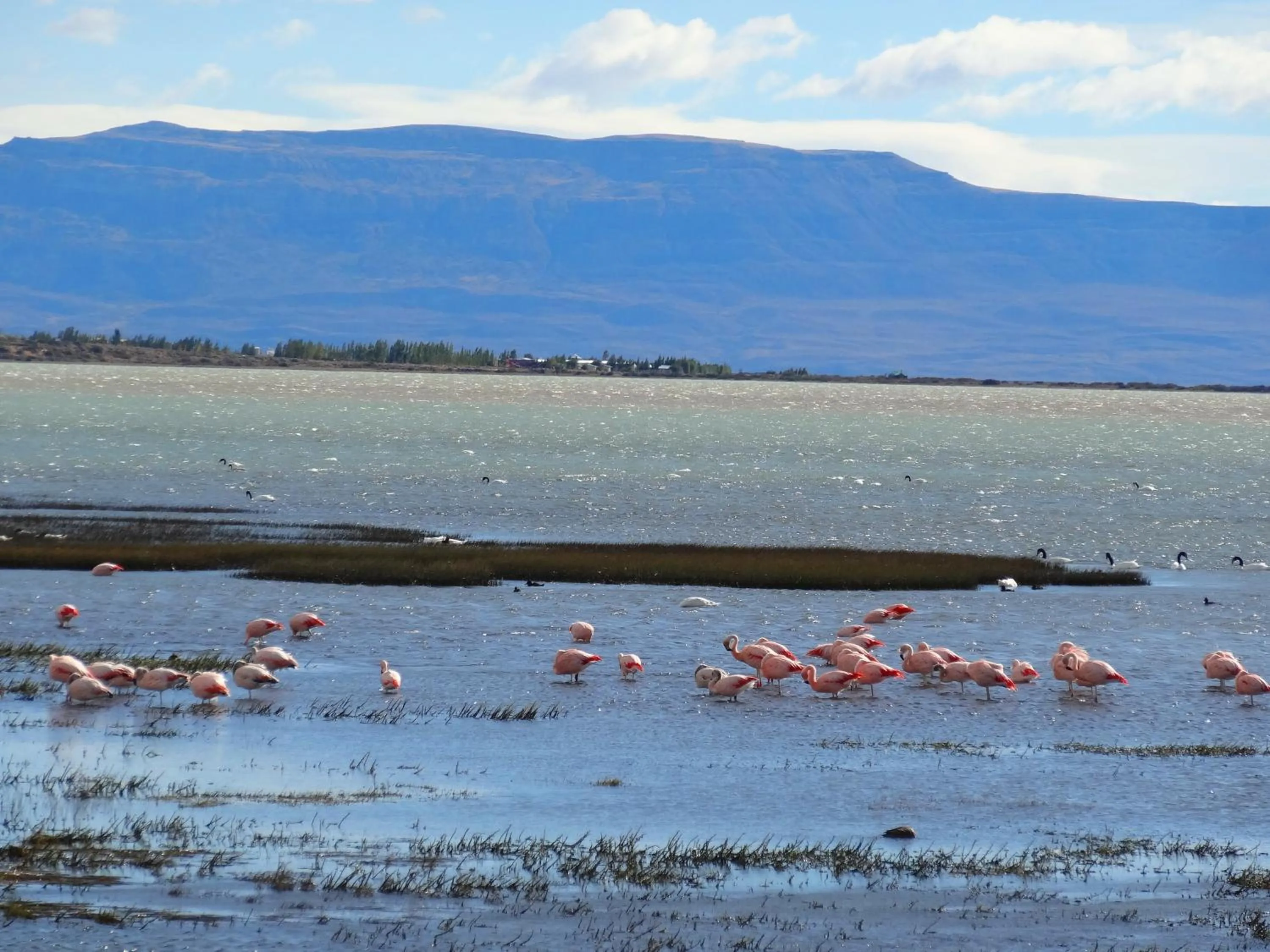 Lake view in Hosteria Los Hielos