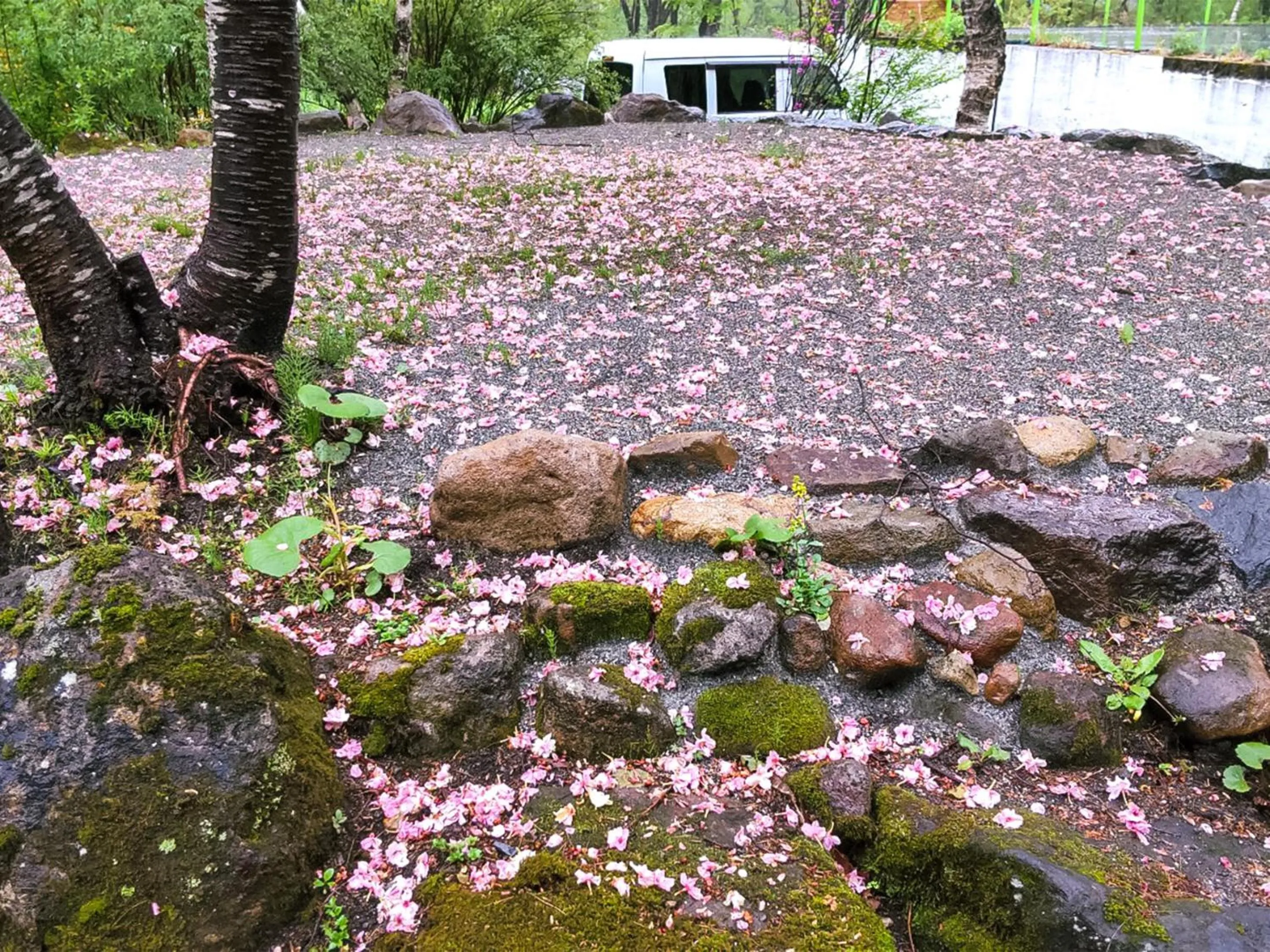 Off site in Kudo's Lodge