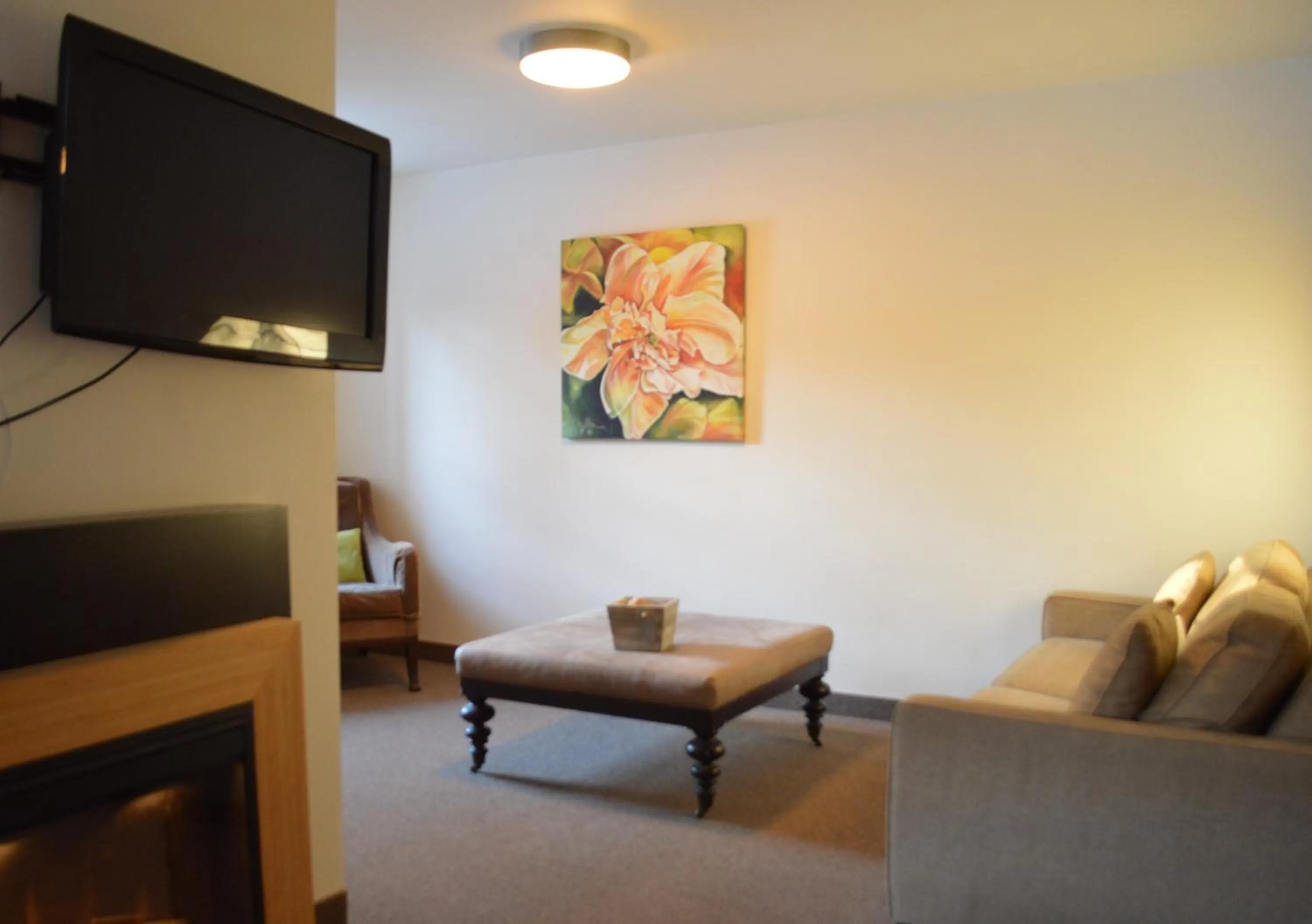 TV and multimedia in 3 Pines Lodge Muskoka