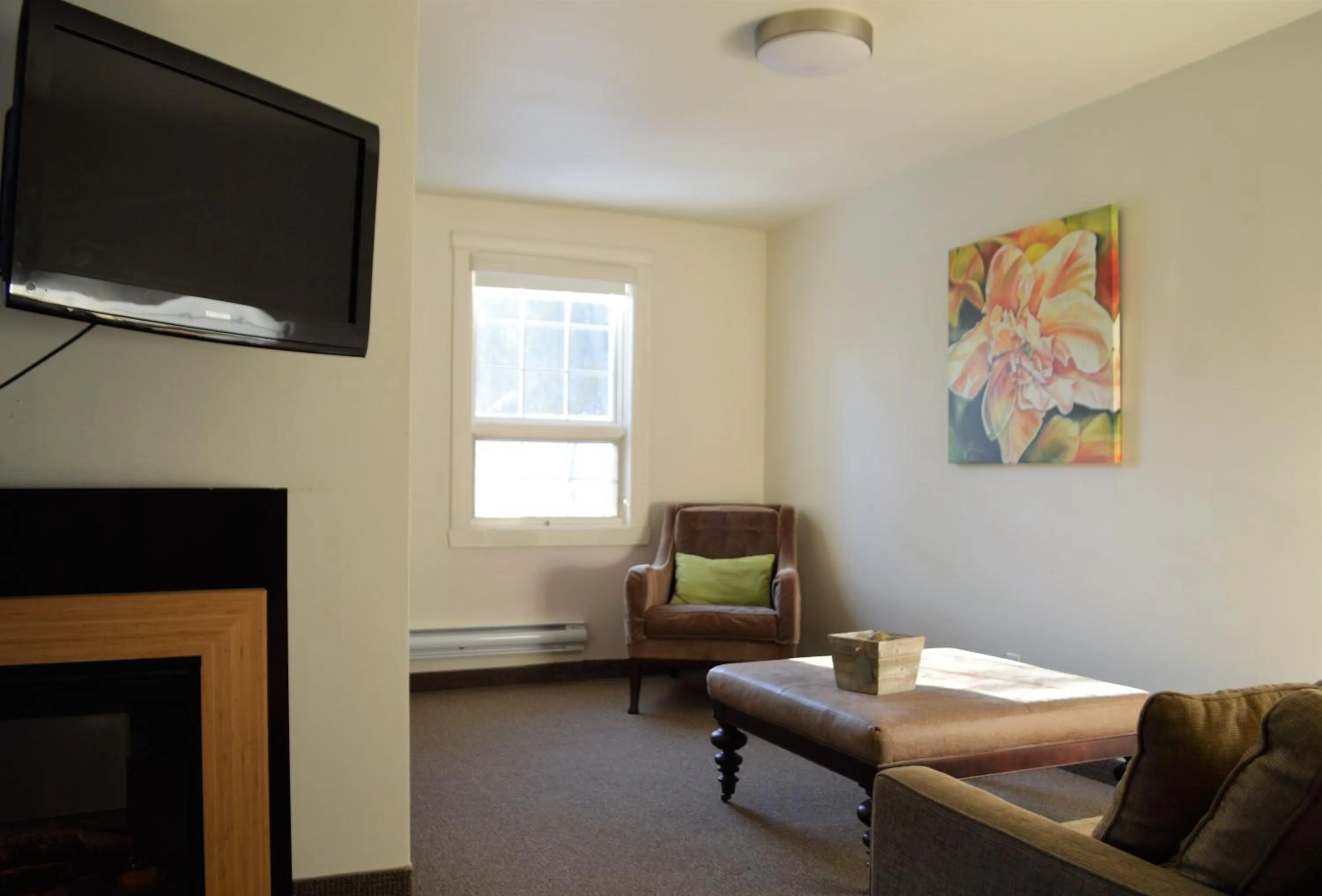 TV and multimedia in 3 Pines Lodge Muskoka