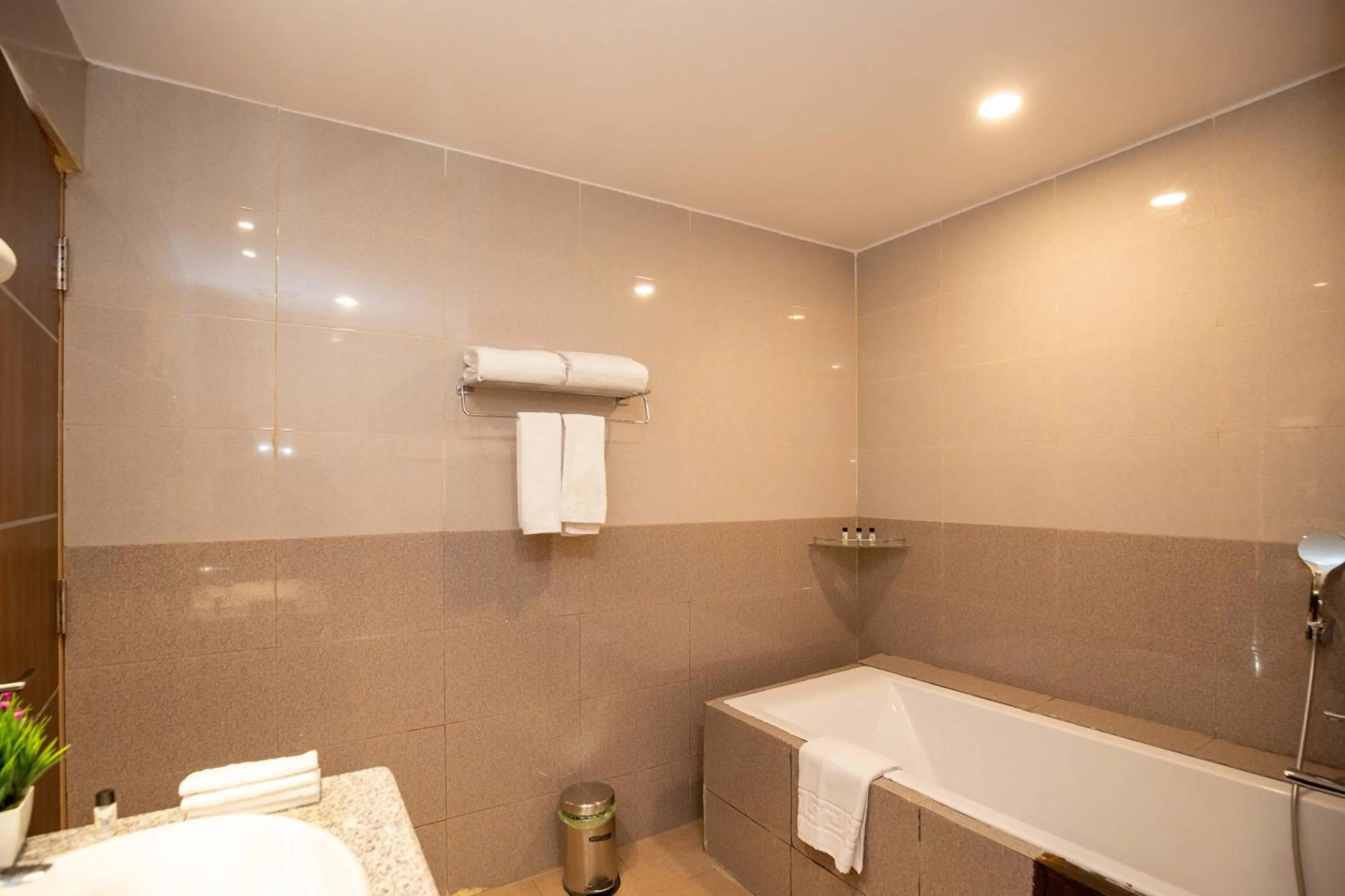 Bathroom in Hotel Palm International