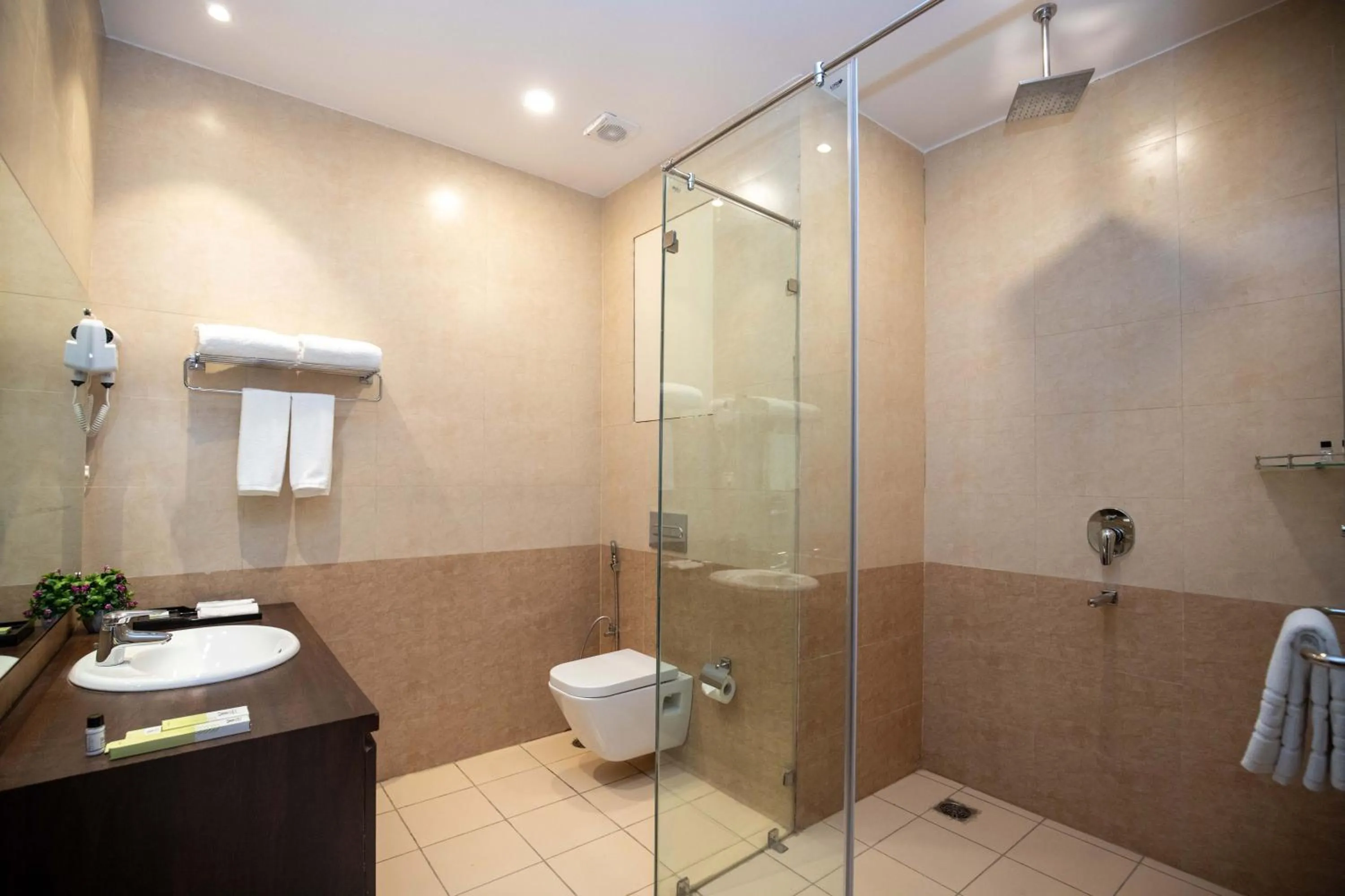 Toilet in Hotel Palm International