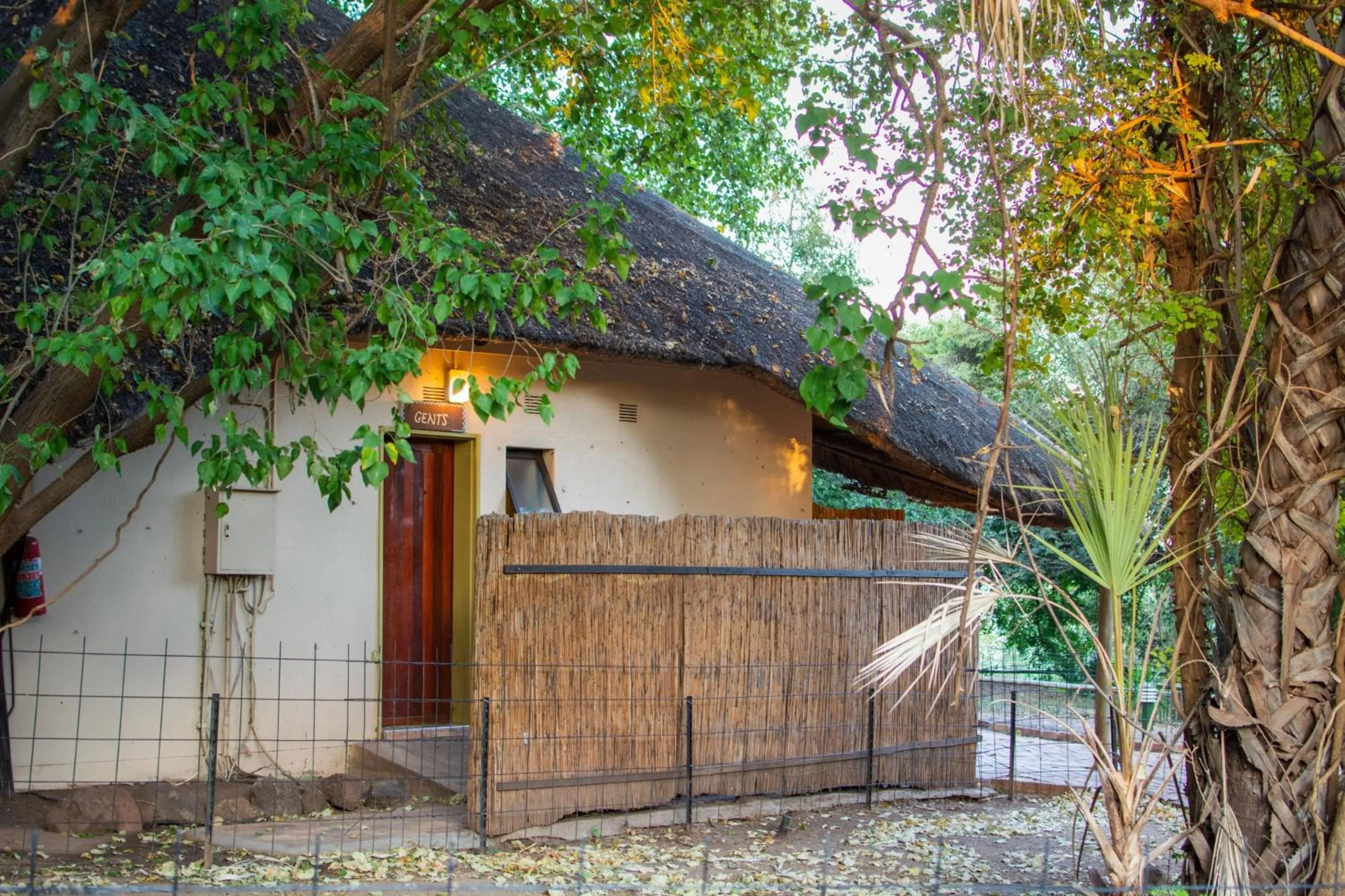 Property building in Chobe Safari Lodges
