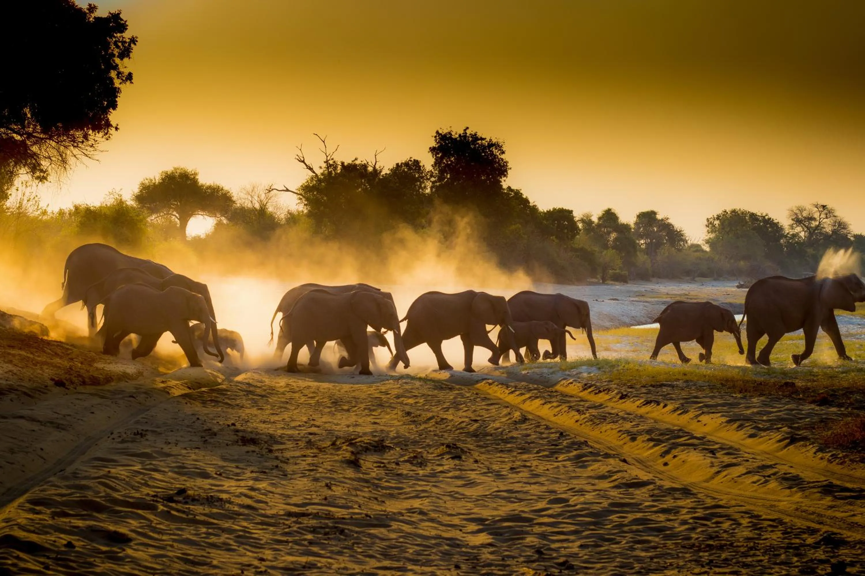 Natural landscape in The Chobe Safari Lodge