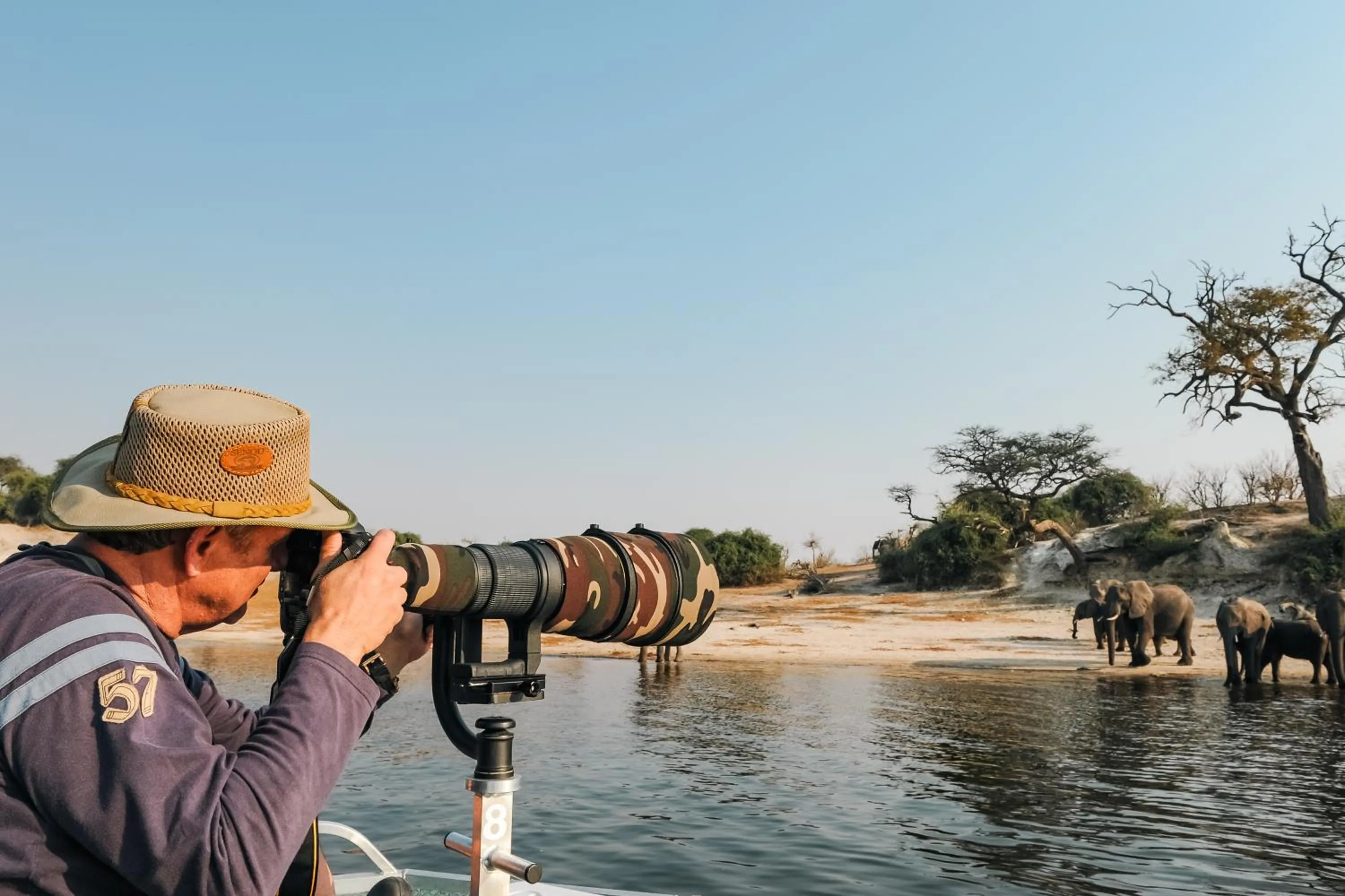 Animals in The Chobe Safari Lodge