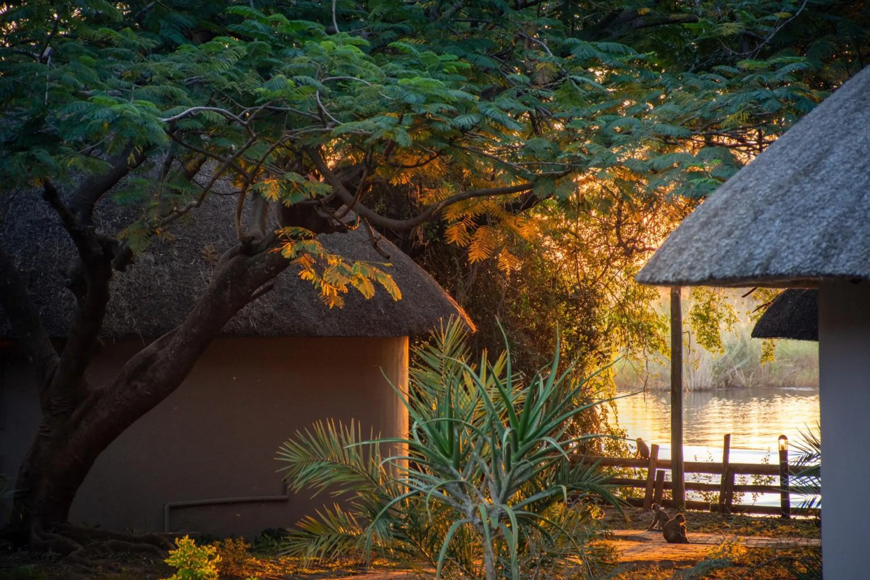Garden in Chobe Safari Lodges