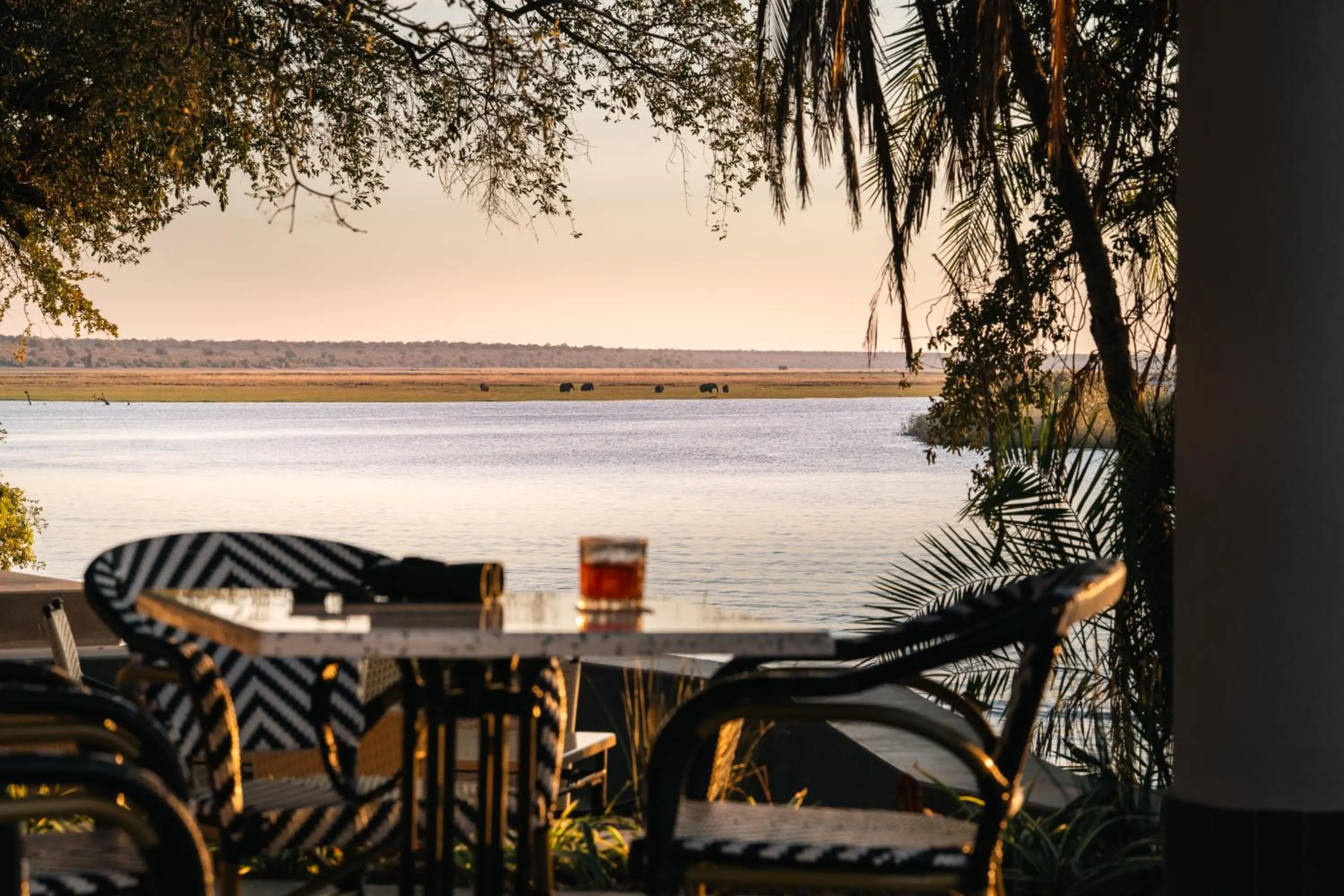 Patio in The Chobe Safari Lodge