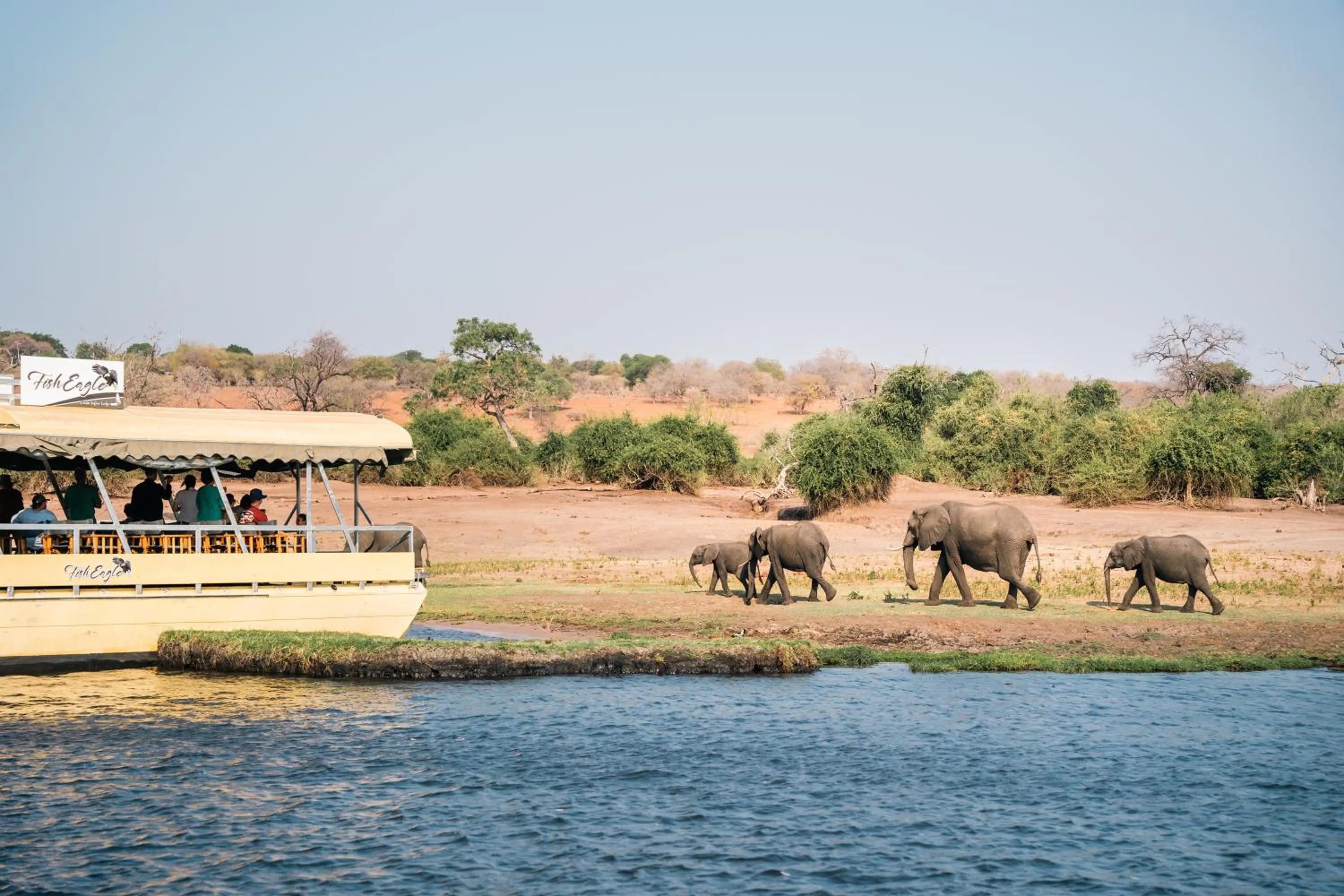 Animals in The Chobe Safari Lodge