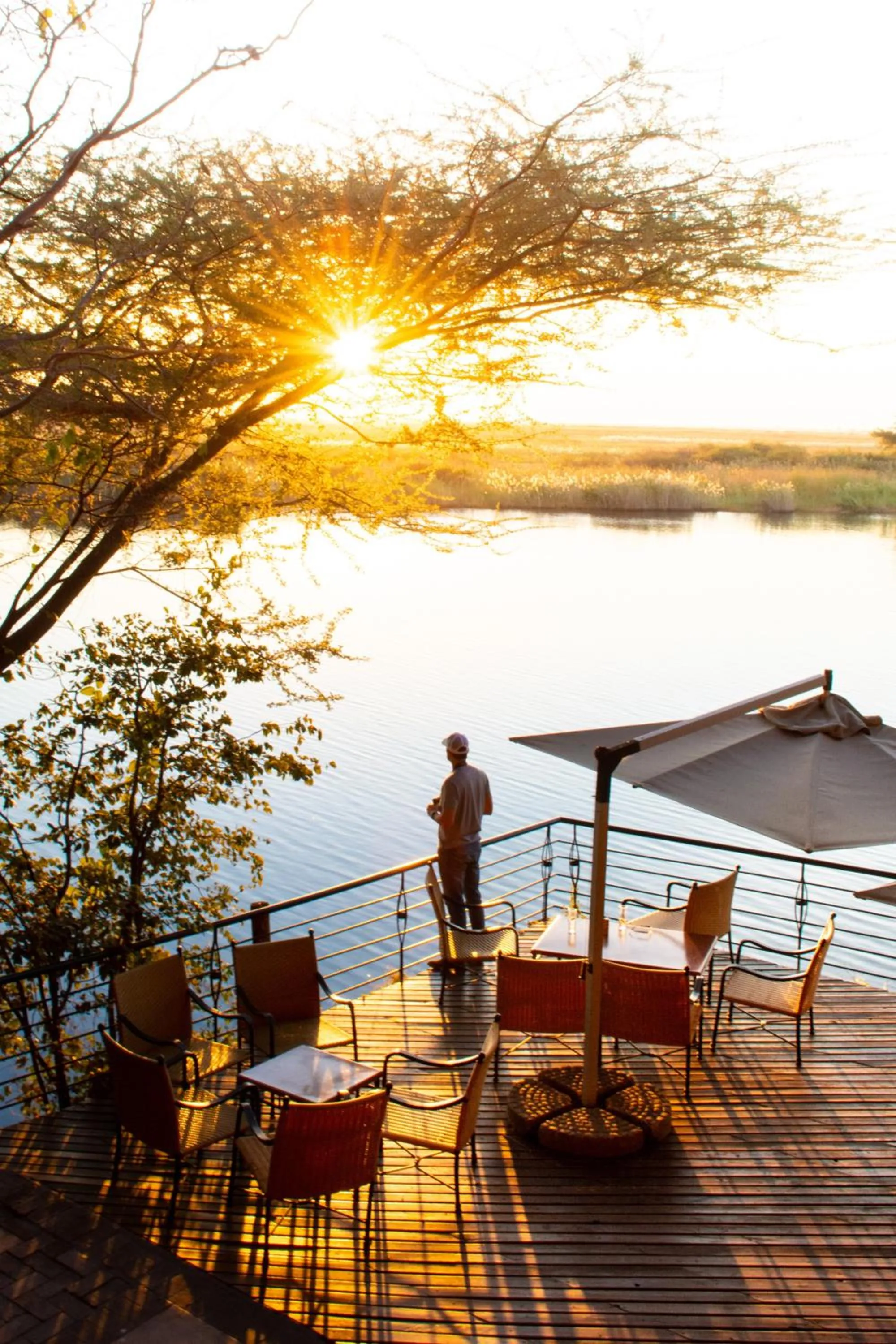 Balcony/Terrace in Chobe Safari Lodges