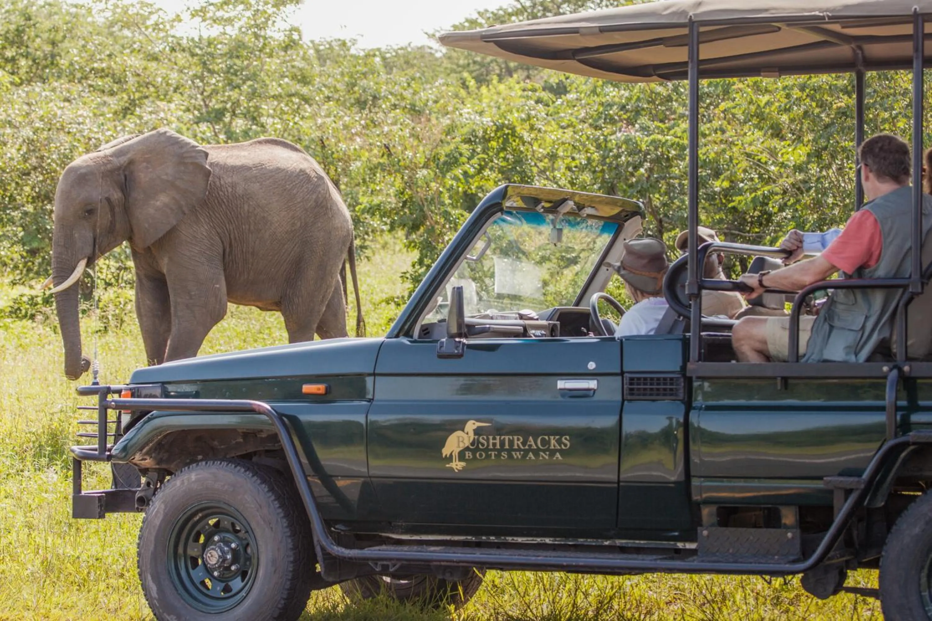 Activities in Chobe Safari Lodges