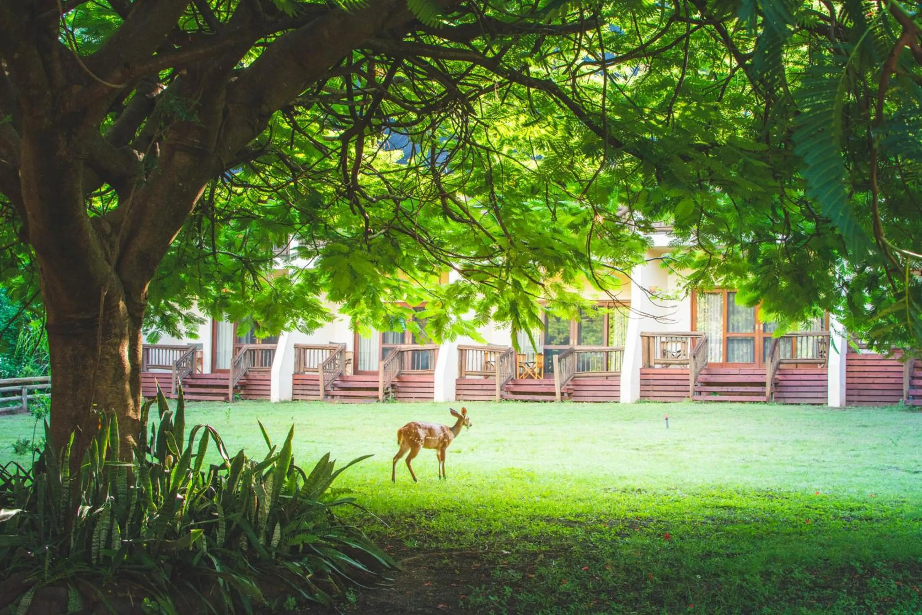 Garden in Chobe Safari Lodges