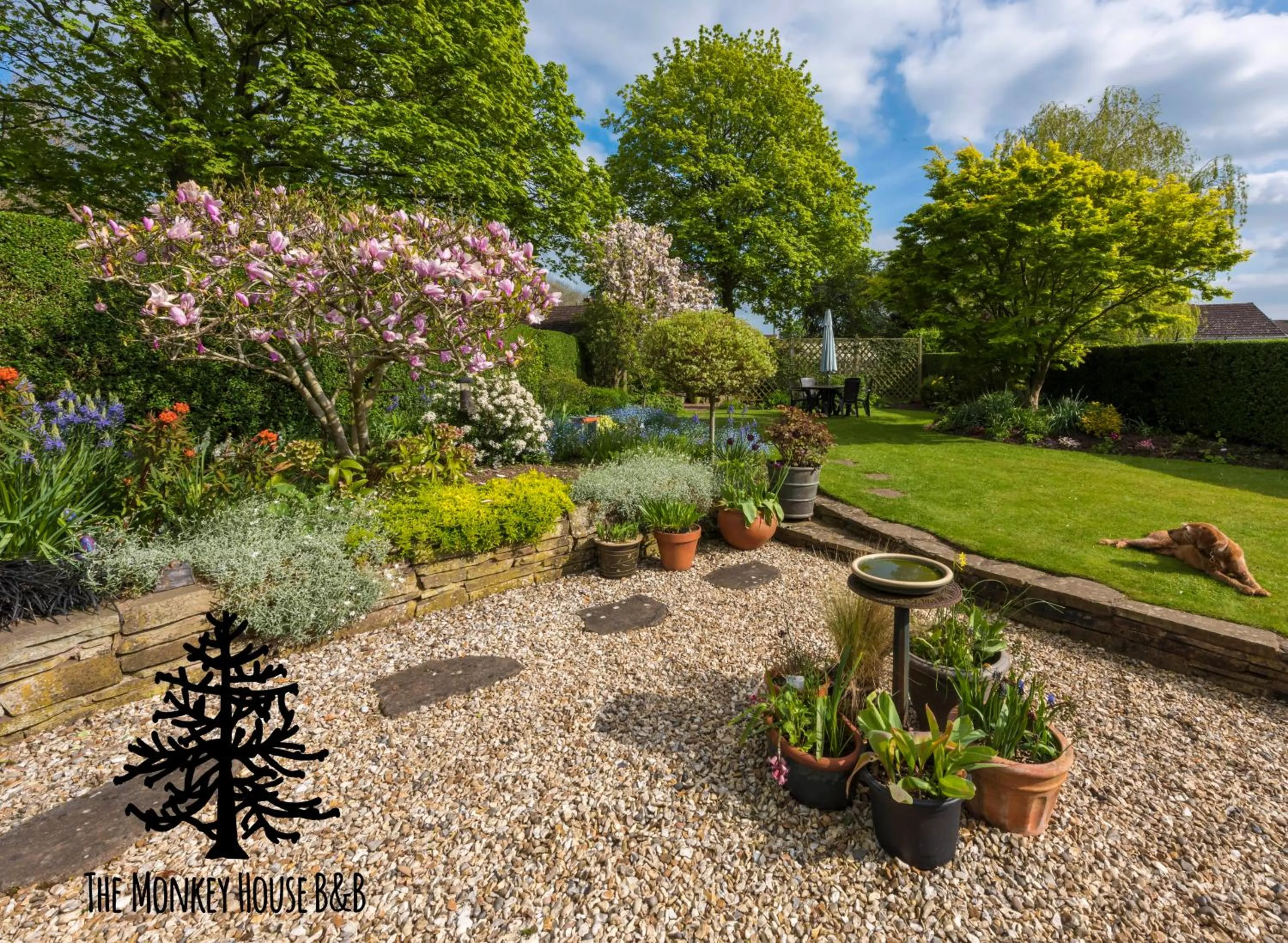 Garden in The Monkey House B&B