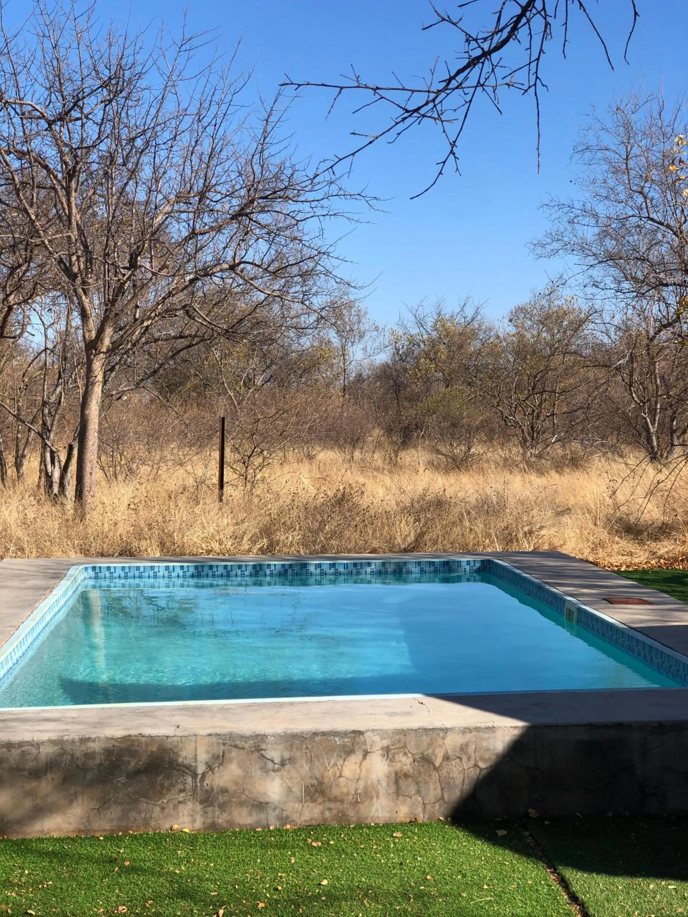 Swimming pool in Simba Safaris African Pride Exotic Lodge