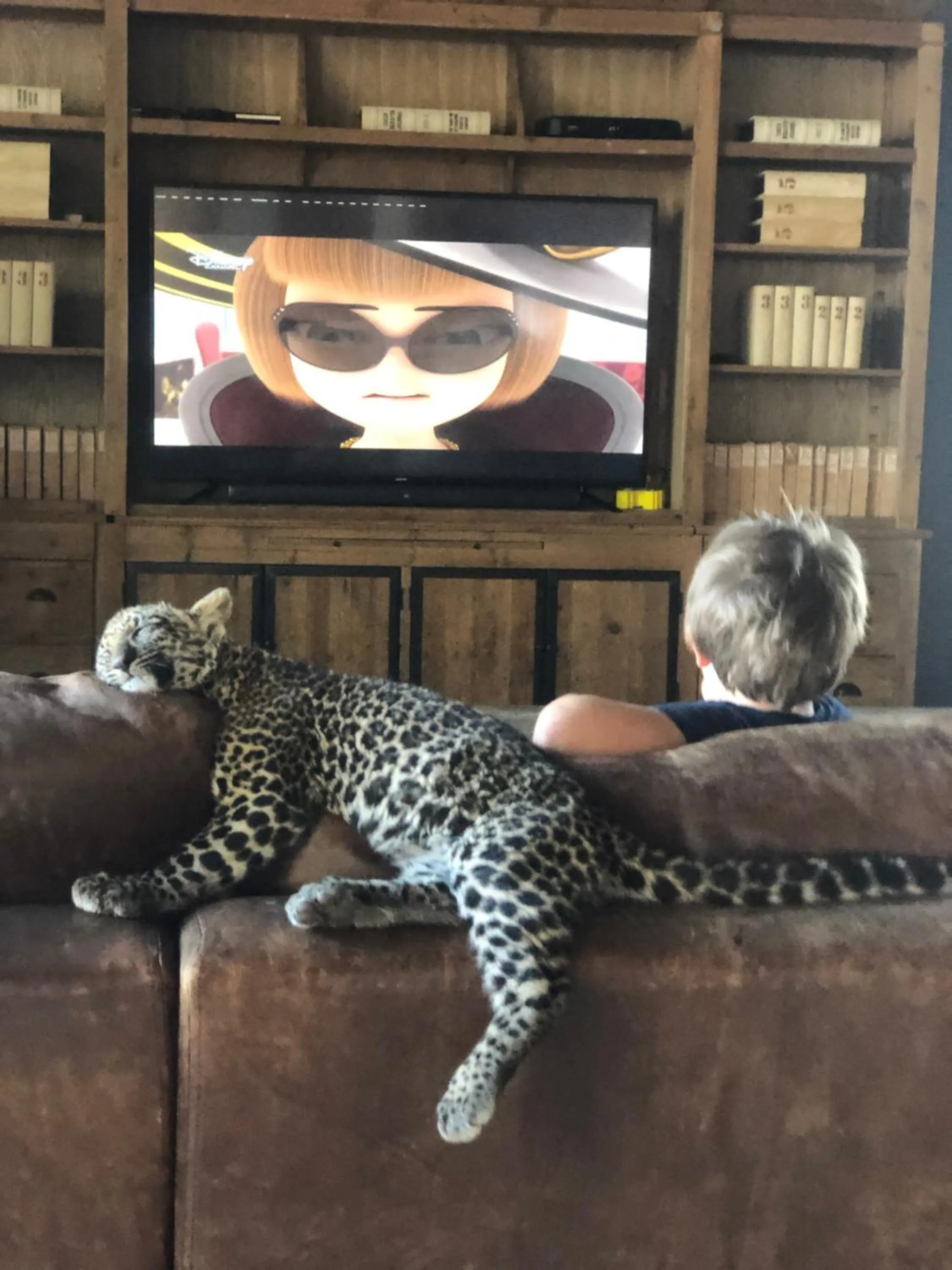 Communal lounge/ TV room in Simba Safaris African Pride Exotic Lodge