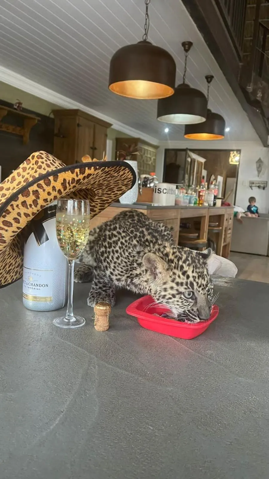 Kitchen or kitchenette in Simba Safaris African Pride Exotic Lodge