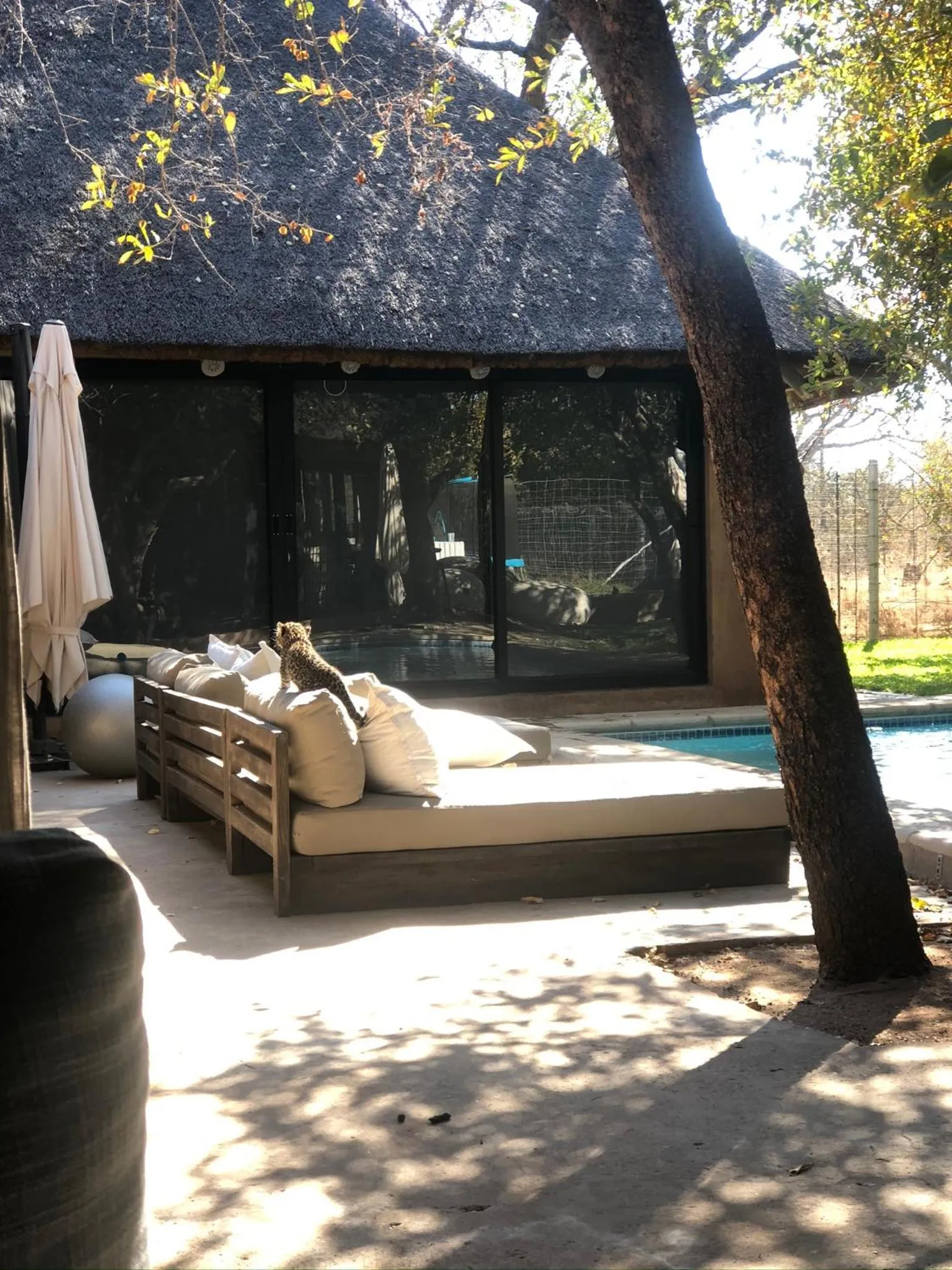 Garden in Simba Safaris African Pride Exotic Lodge