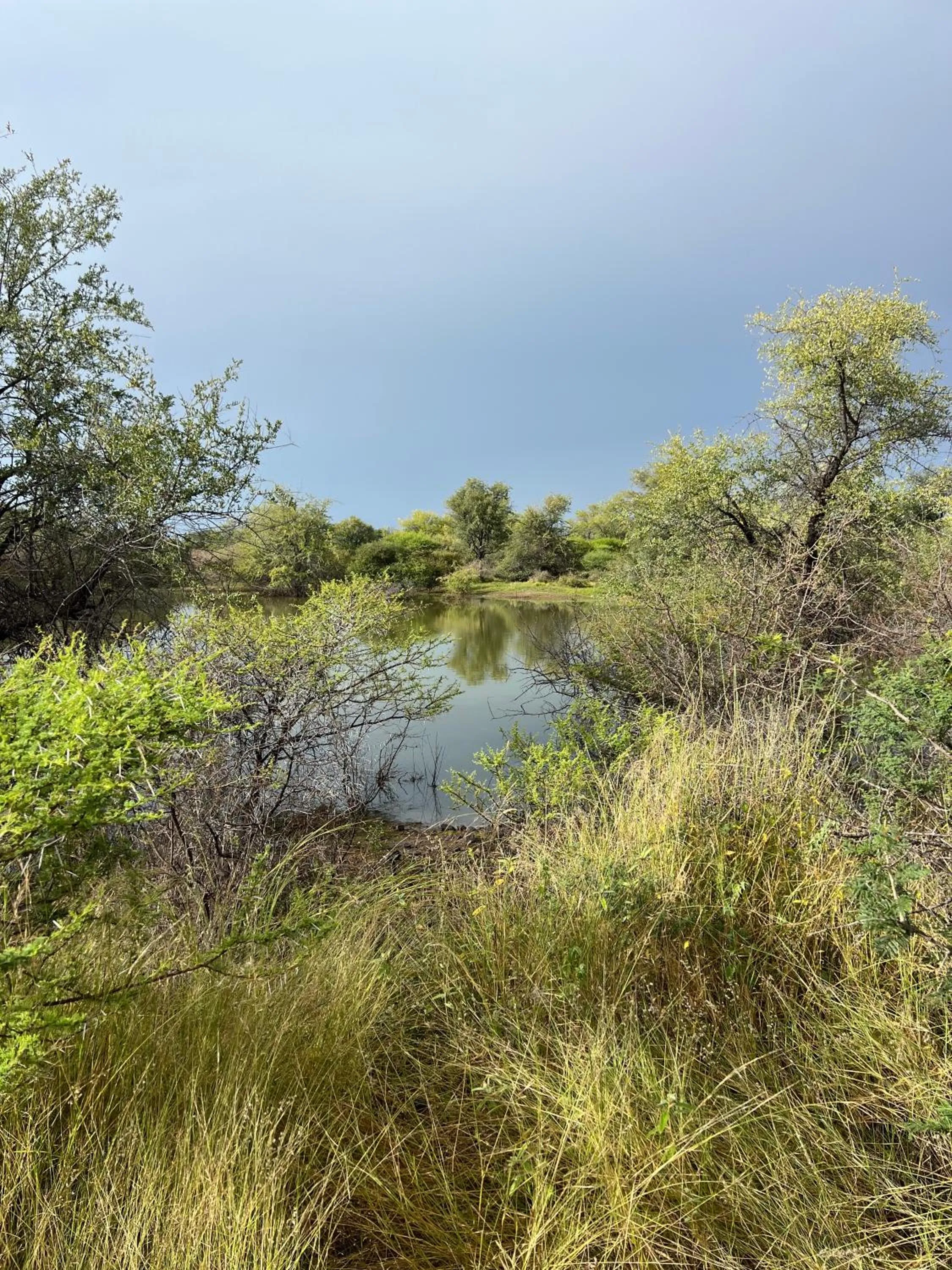 Natural landscape in Simba Safaris African Pride Exotic Lodge