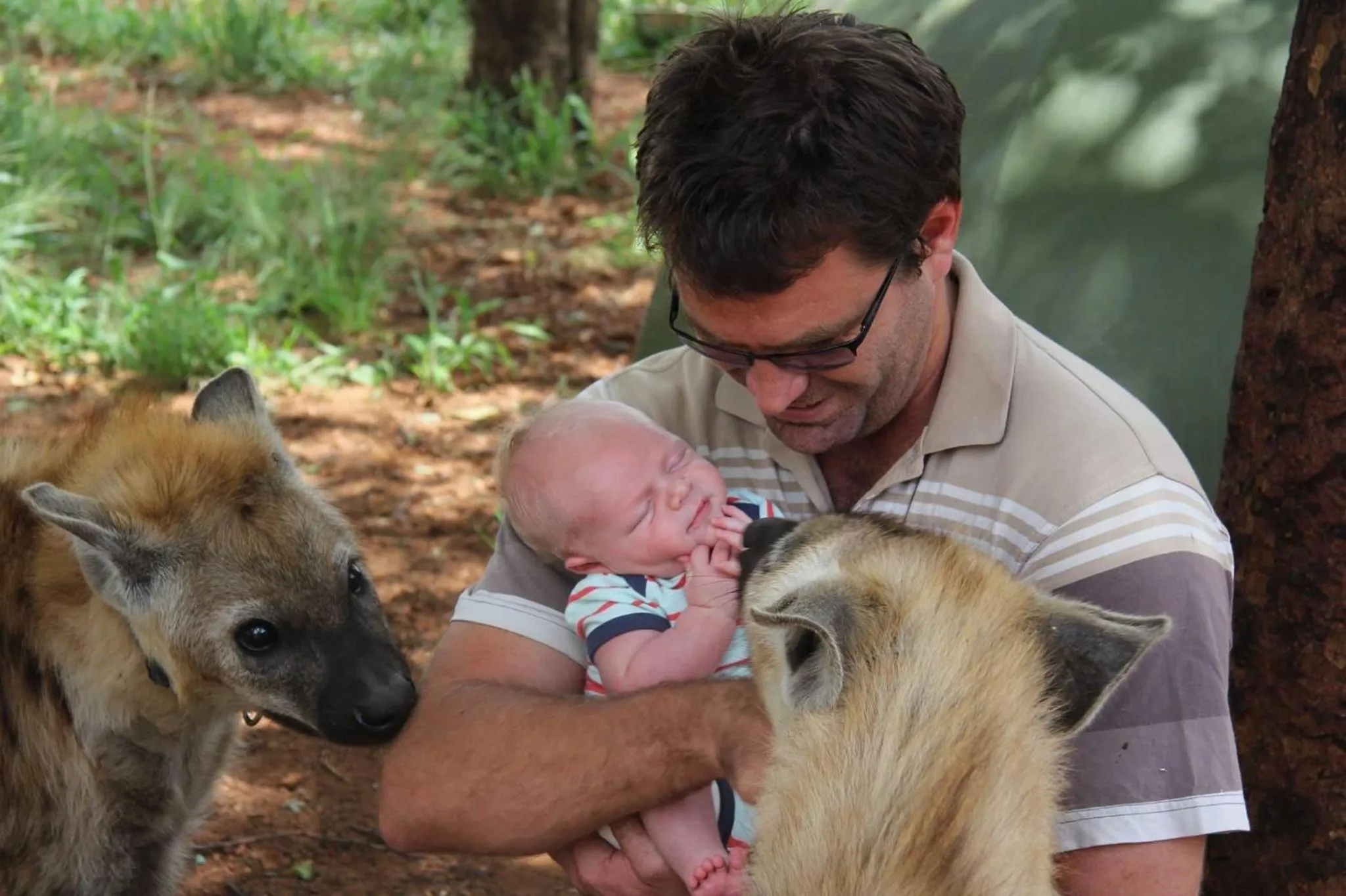 Animals in Simba Safaris African Pride Exotic Lodge