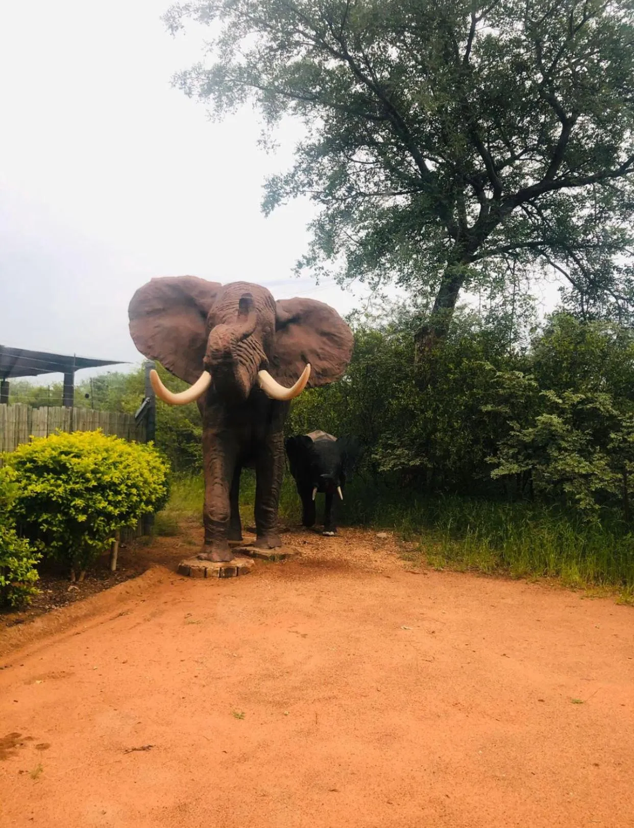 Facade/entrance in Simba Safaris African Pride Exotic Lodge