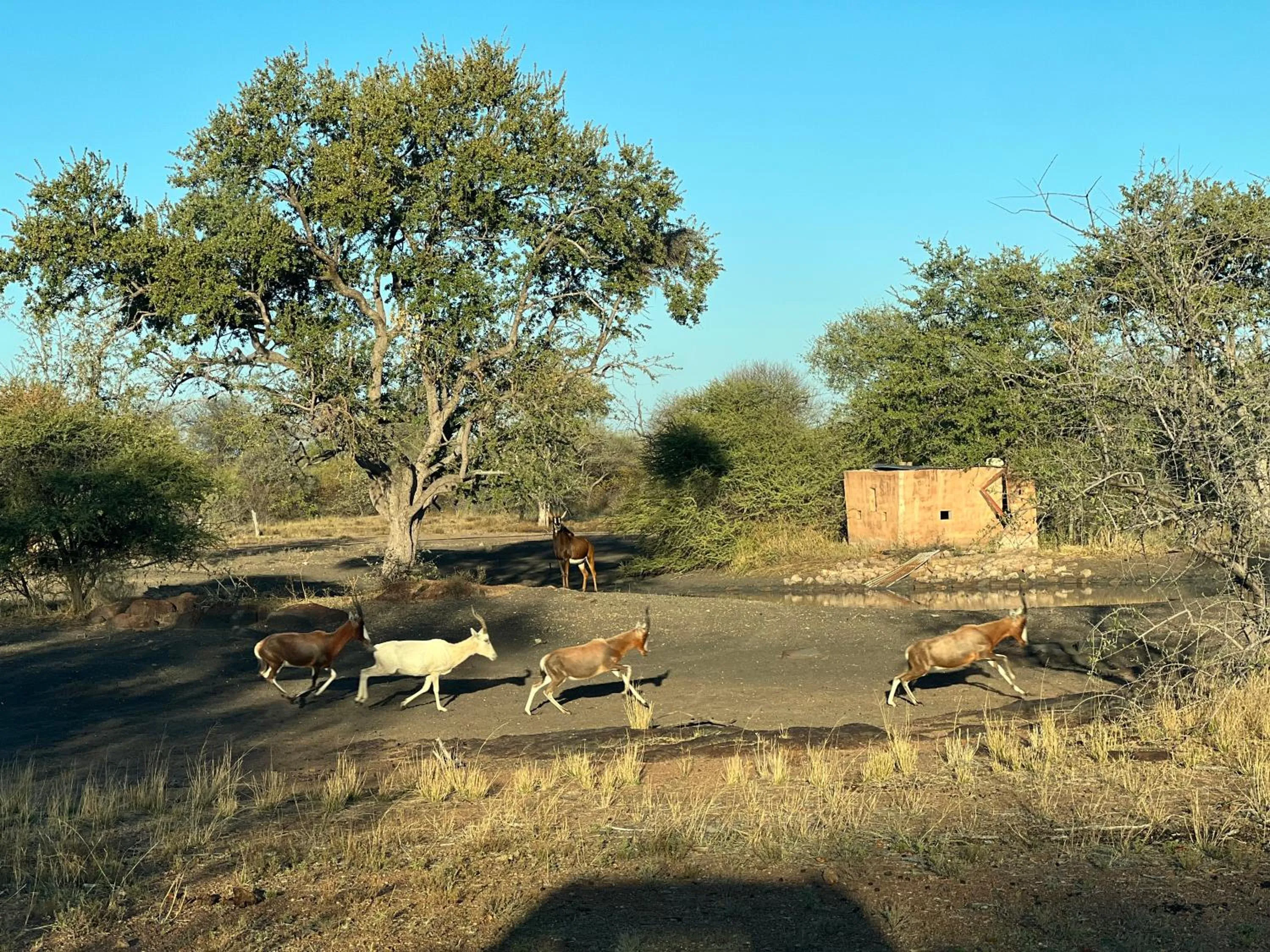 Natural landscape in Simba Safaris African Pride Exotic Lodge