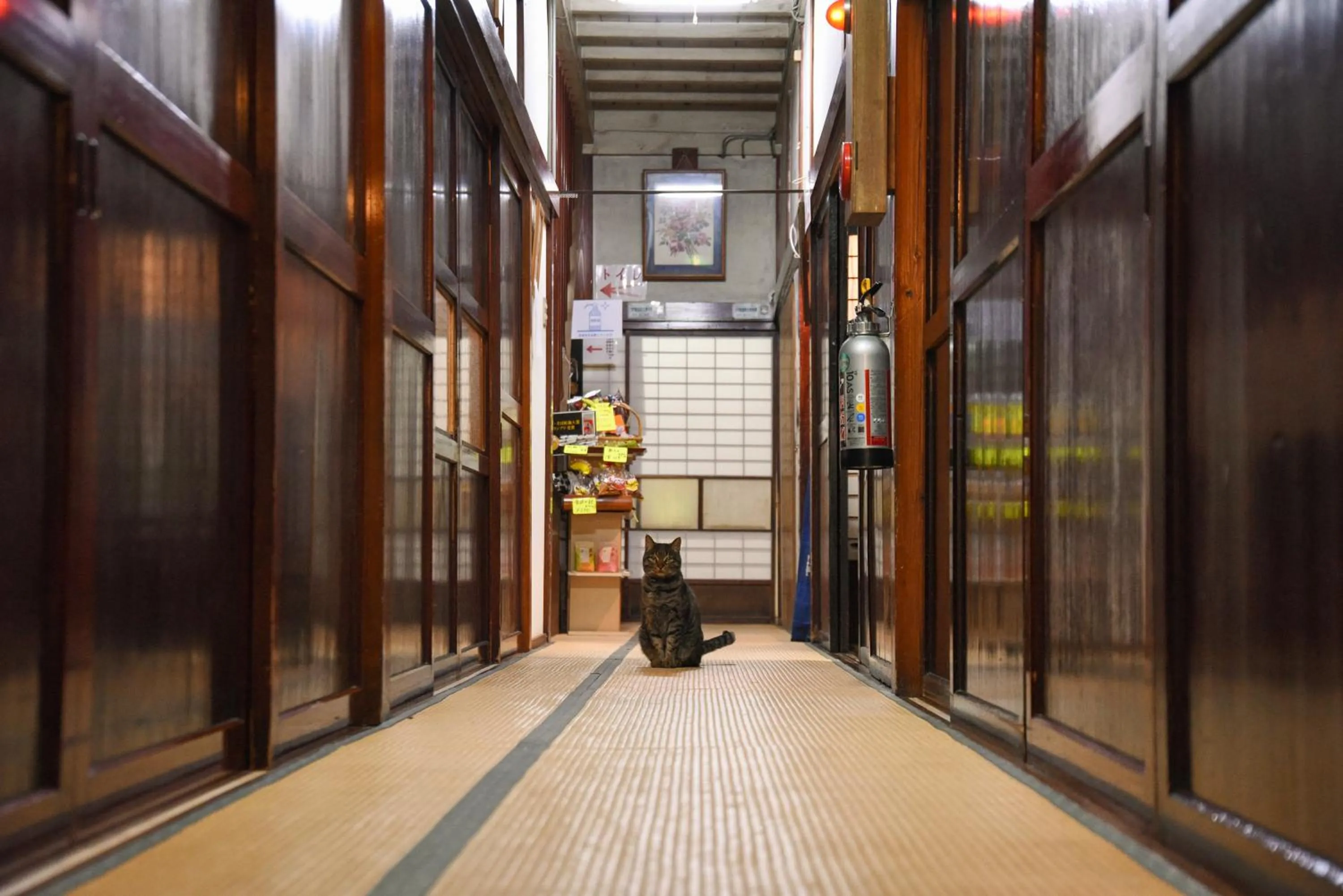 Area and facilities in Setoguchi