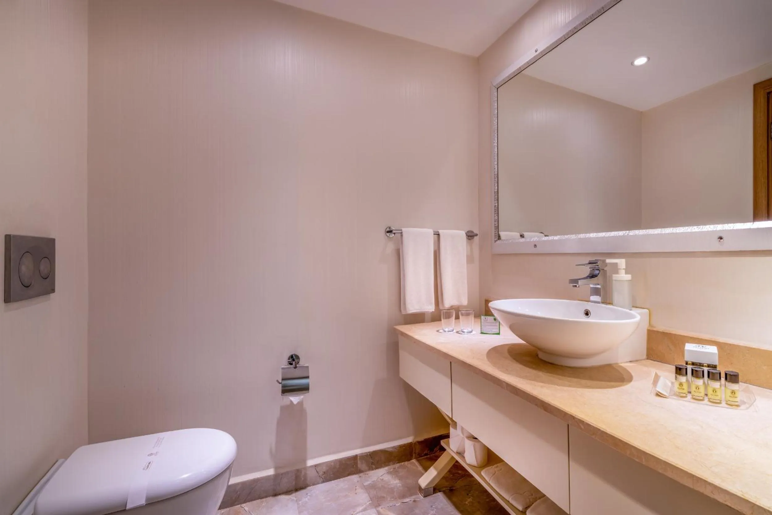 Bathroom in Botanik Platinum Hotel