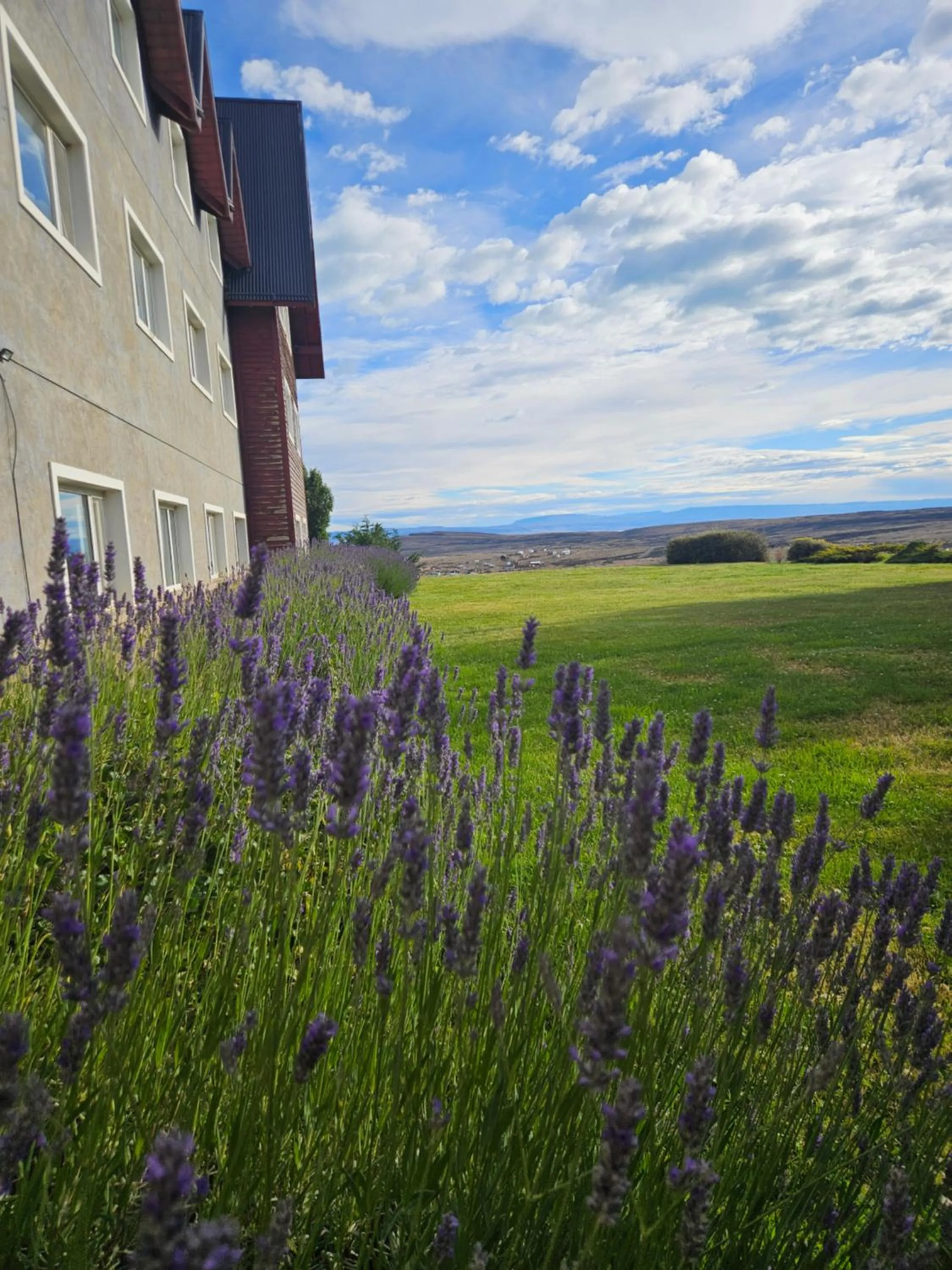 Off site in Alto Calafate Hotel