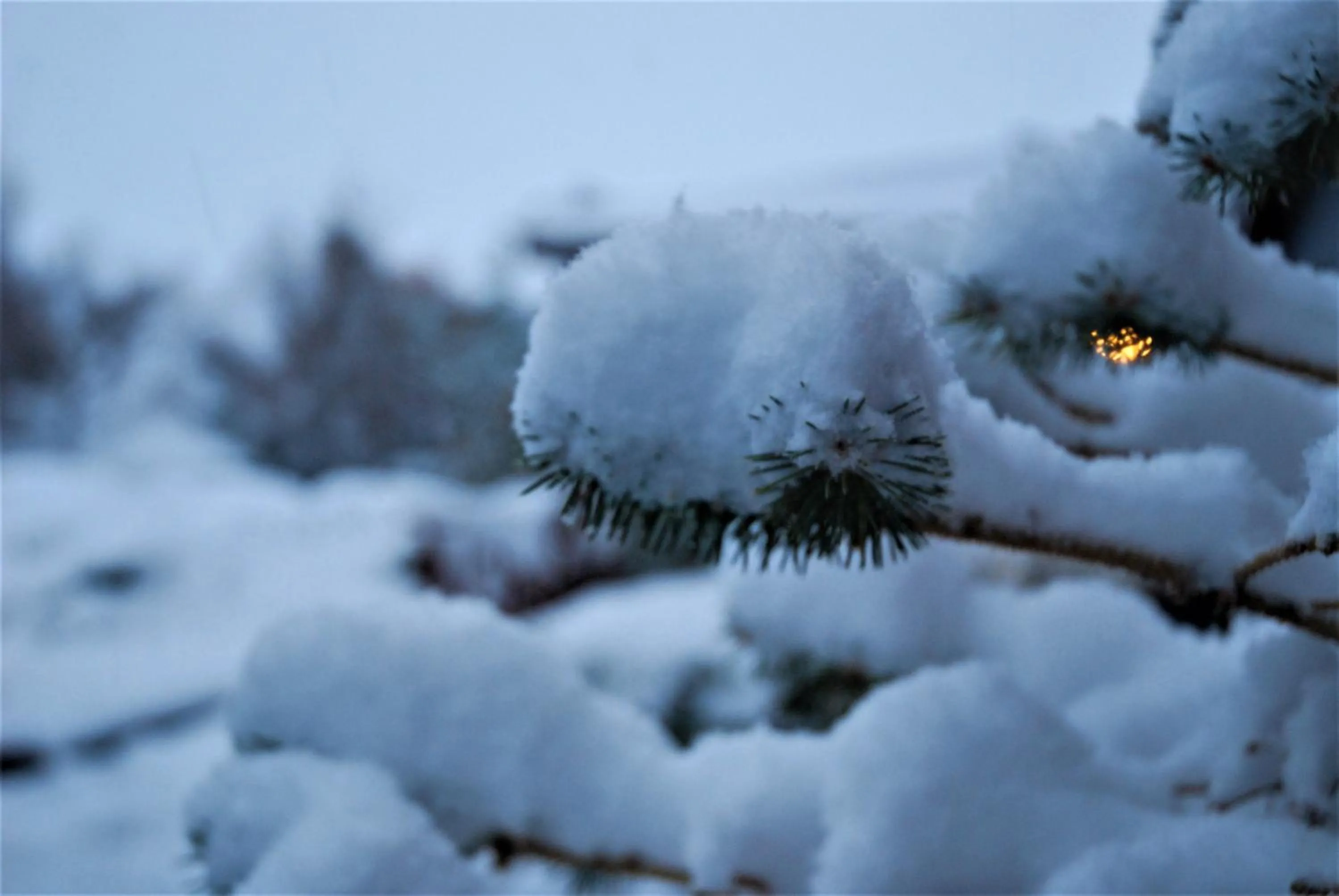 Natural landscape in Alto Calafate Hotel