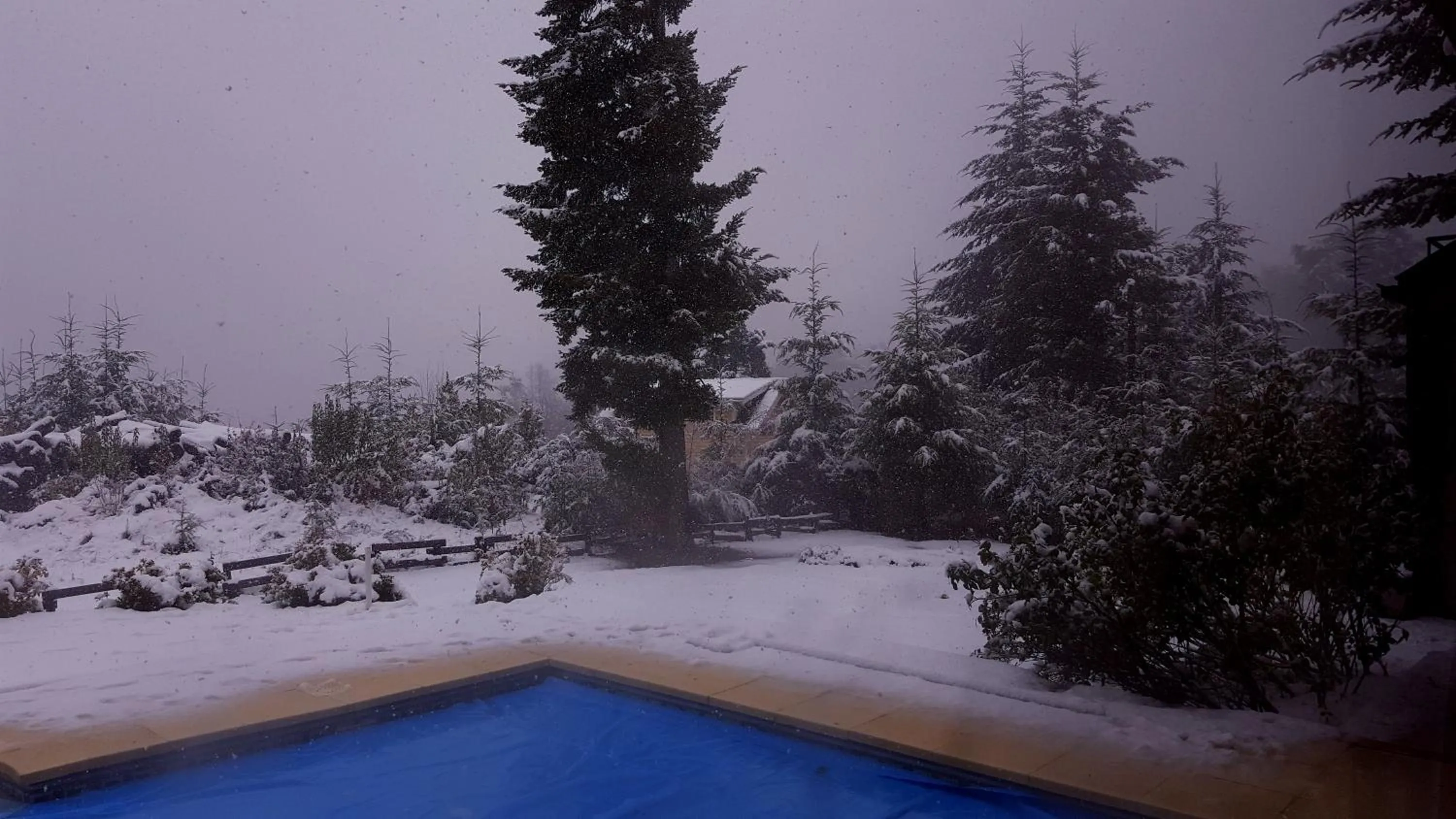 Casa Del Bosque Aparts