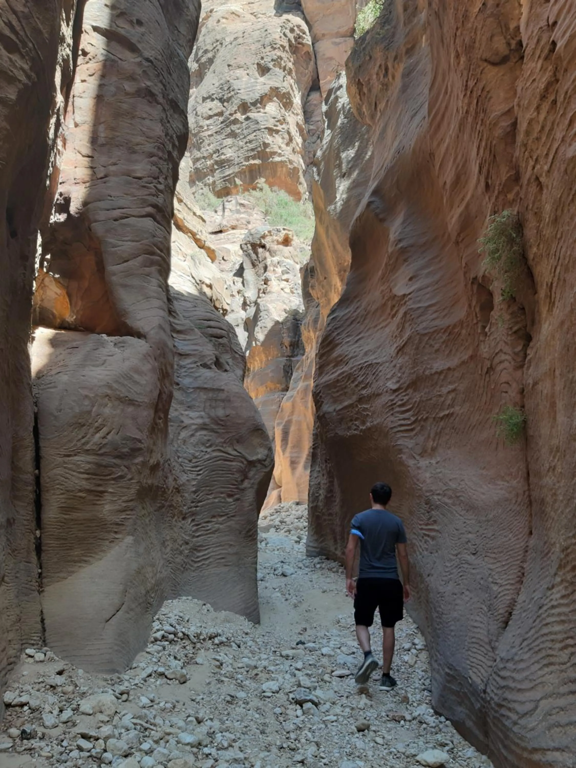Hiking in The Rock Camp Petra