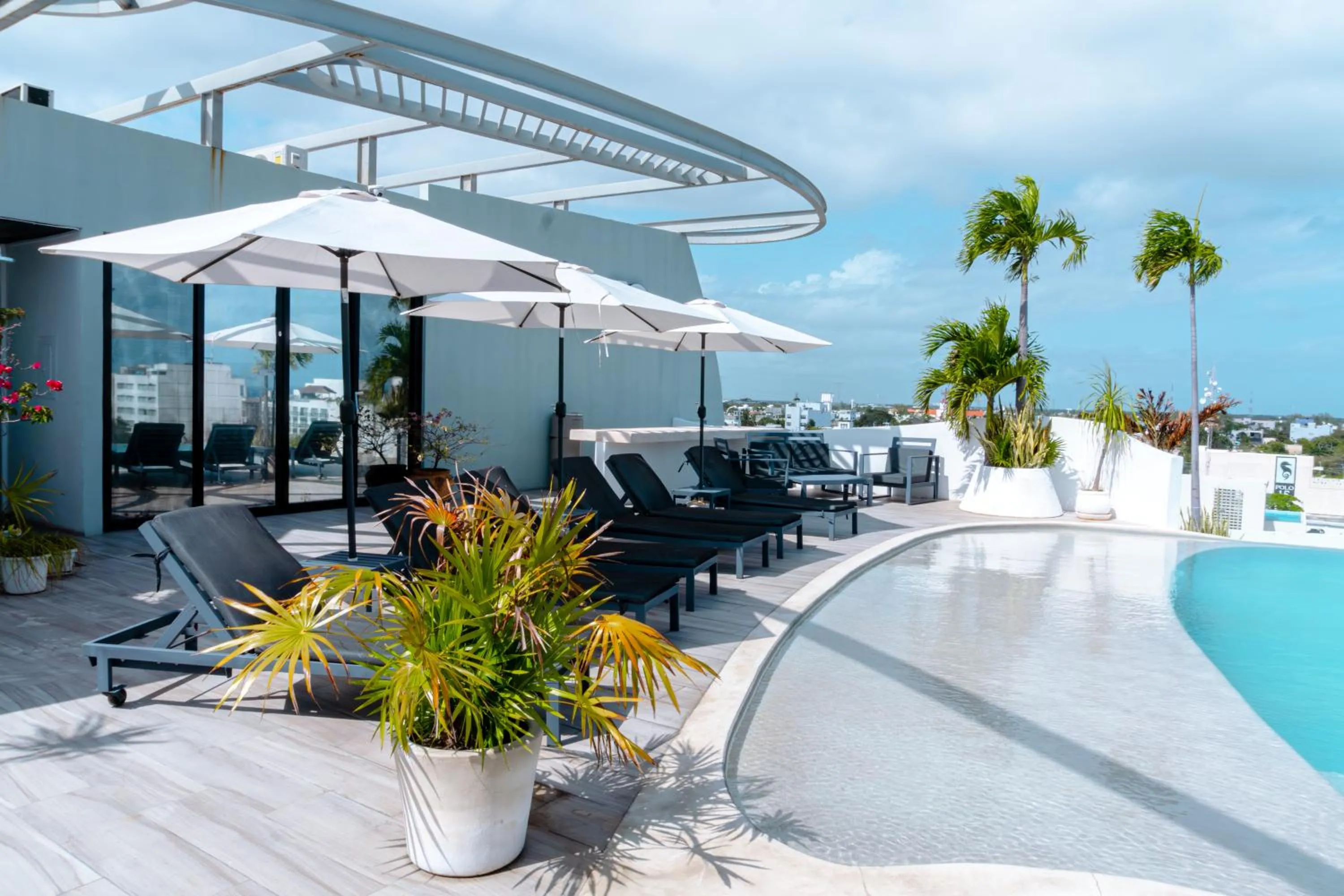 Pool view in Mare Playa del Carmen